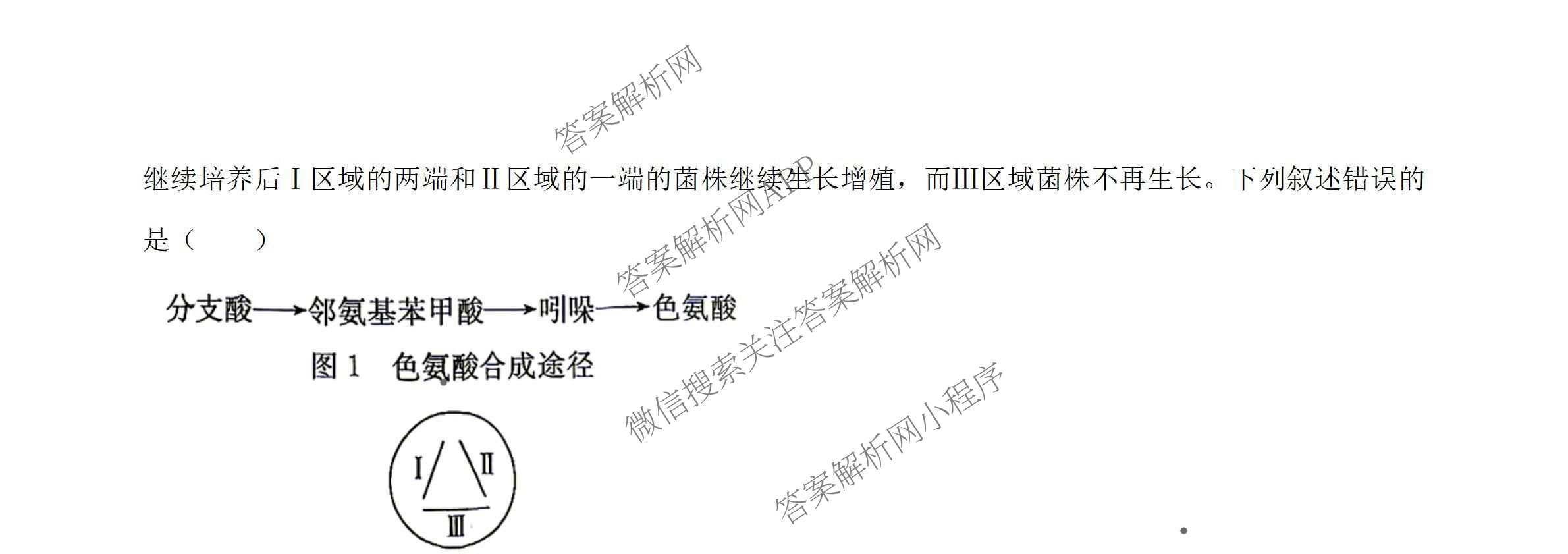 炎德英才名校联合体湖南省雅礼中学2027届高三入学检测一(27H)各科答案及试卷（9科全）生物试题