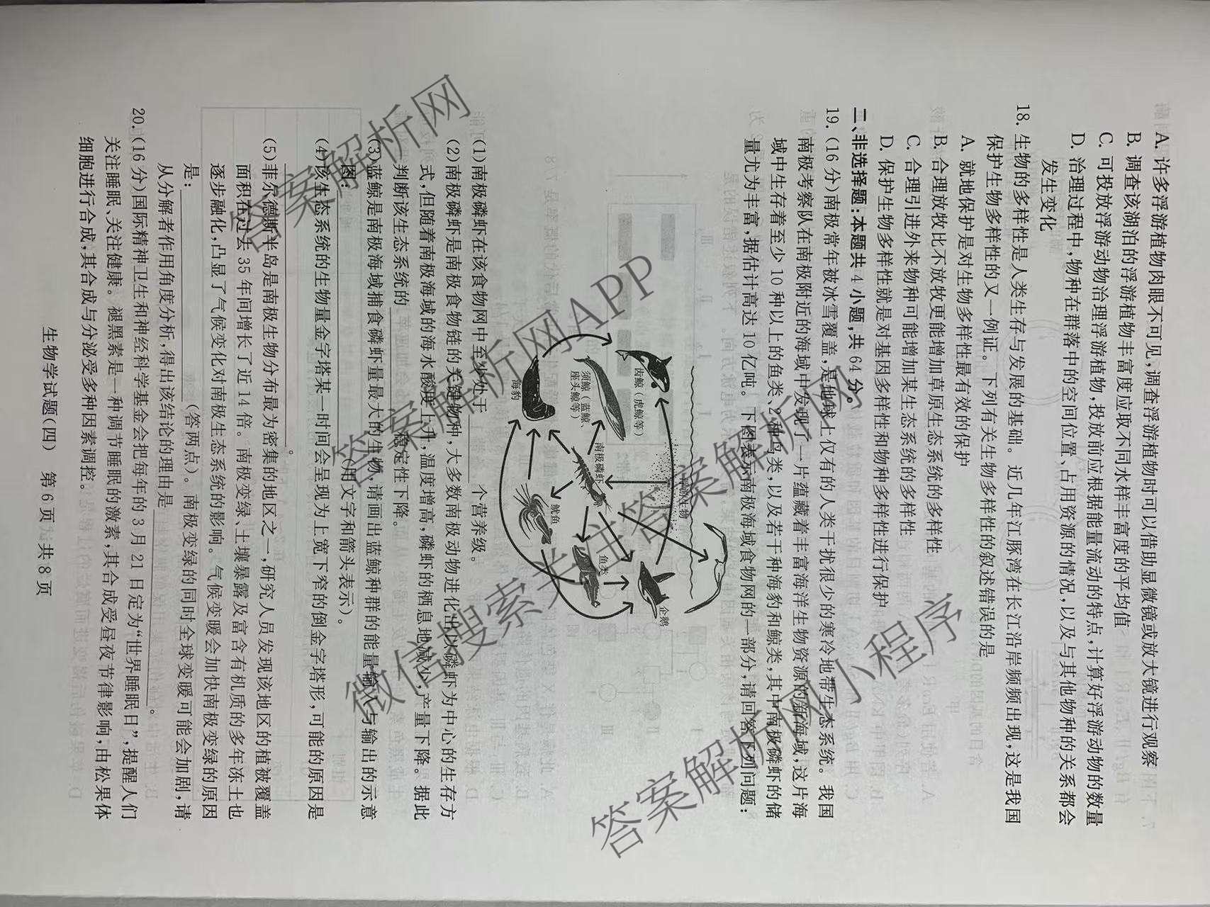 冲刺新高考2026届高考仿真模拟卷(T8)(四)4各科答案及试卷（含地理、生物(湖南专版)、数学等20份）生物试题