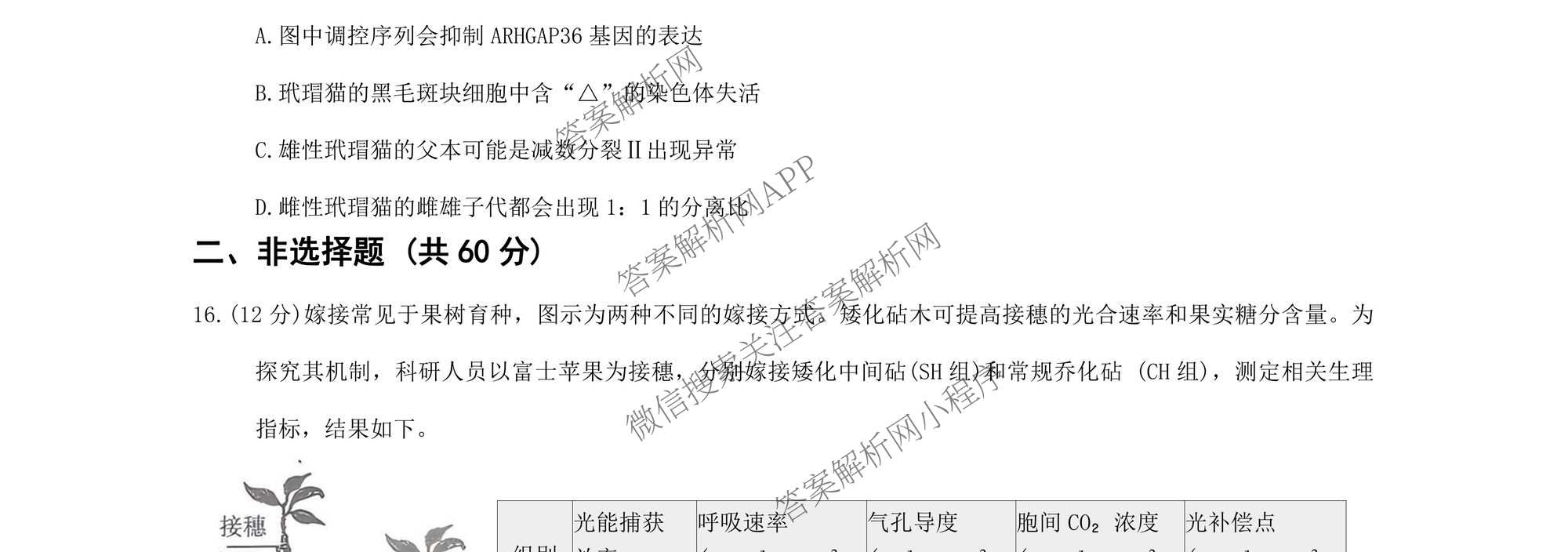 福建省2025-2026学年福州市高三年级三月质量检测试卷及答案汇总（含化学 地理 生物等）生物试题