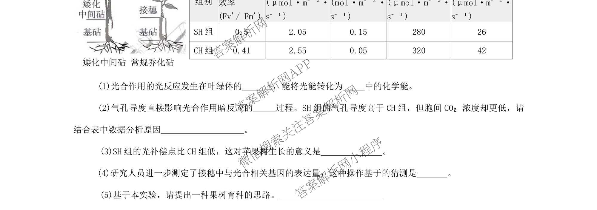 福建省2025-2026学年福州市高三年级三月质量检测试卷及答案汇总（含化学 地理 生物等）生物试题