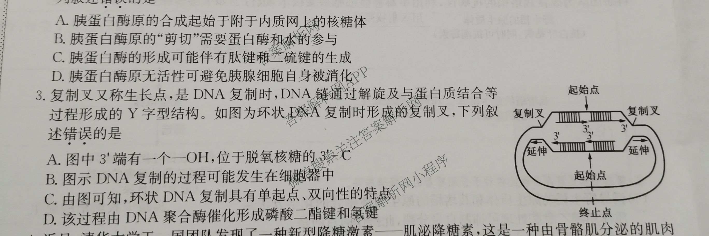 九师联盟2025~2026学年高三核心模拟卷(中)(五)各科答案及试卷（含历史(D2) 政治(B) 政治(D2)等）生物试题