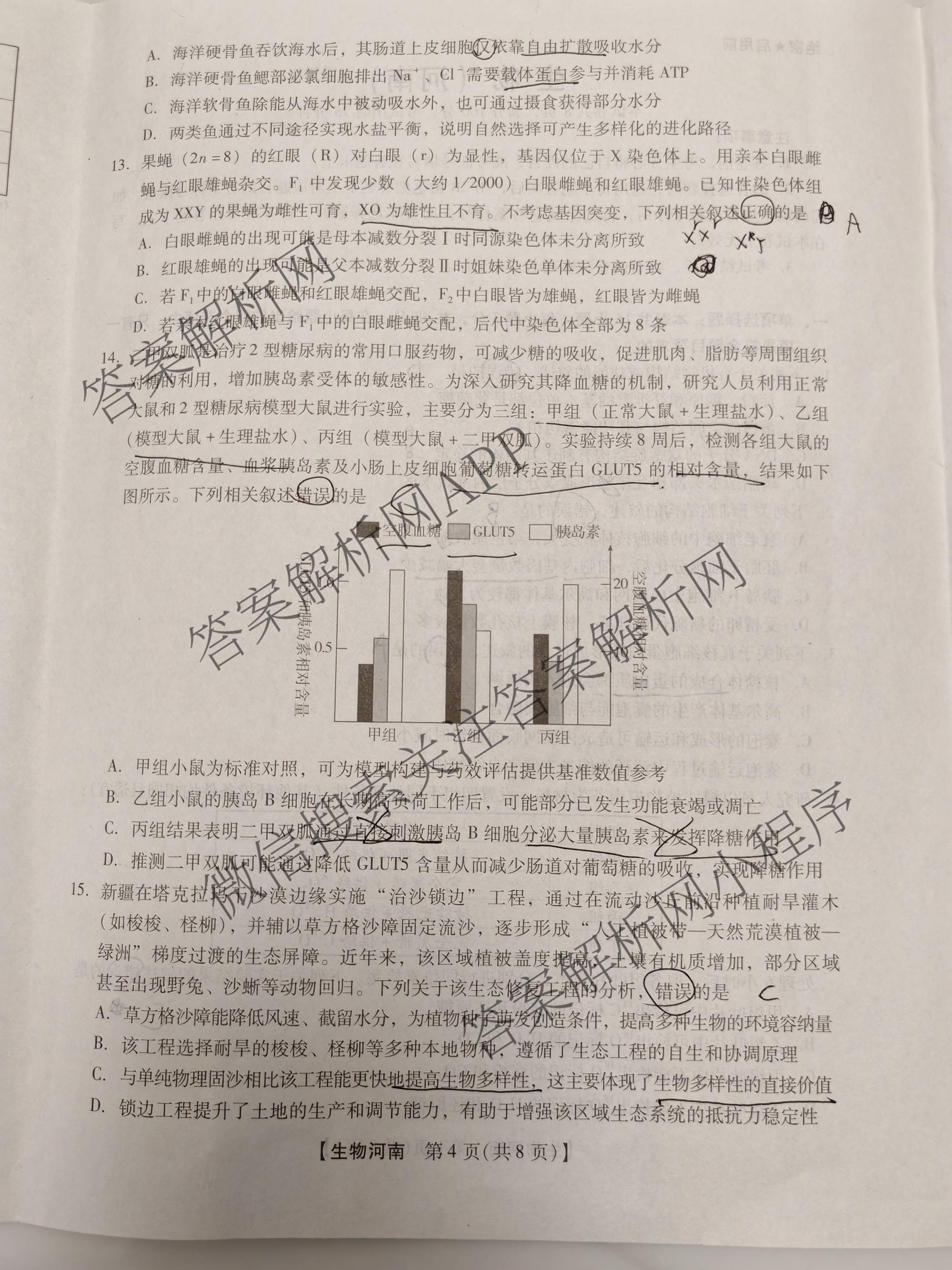河南省鹤壁市2026届高三下学期开学考试(无标题:科目)试卷及答案汇总（含化学 地理 语文等9份）生物试题