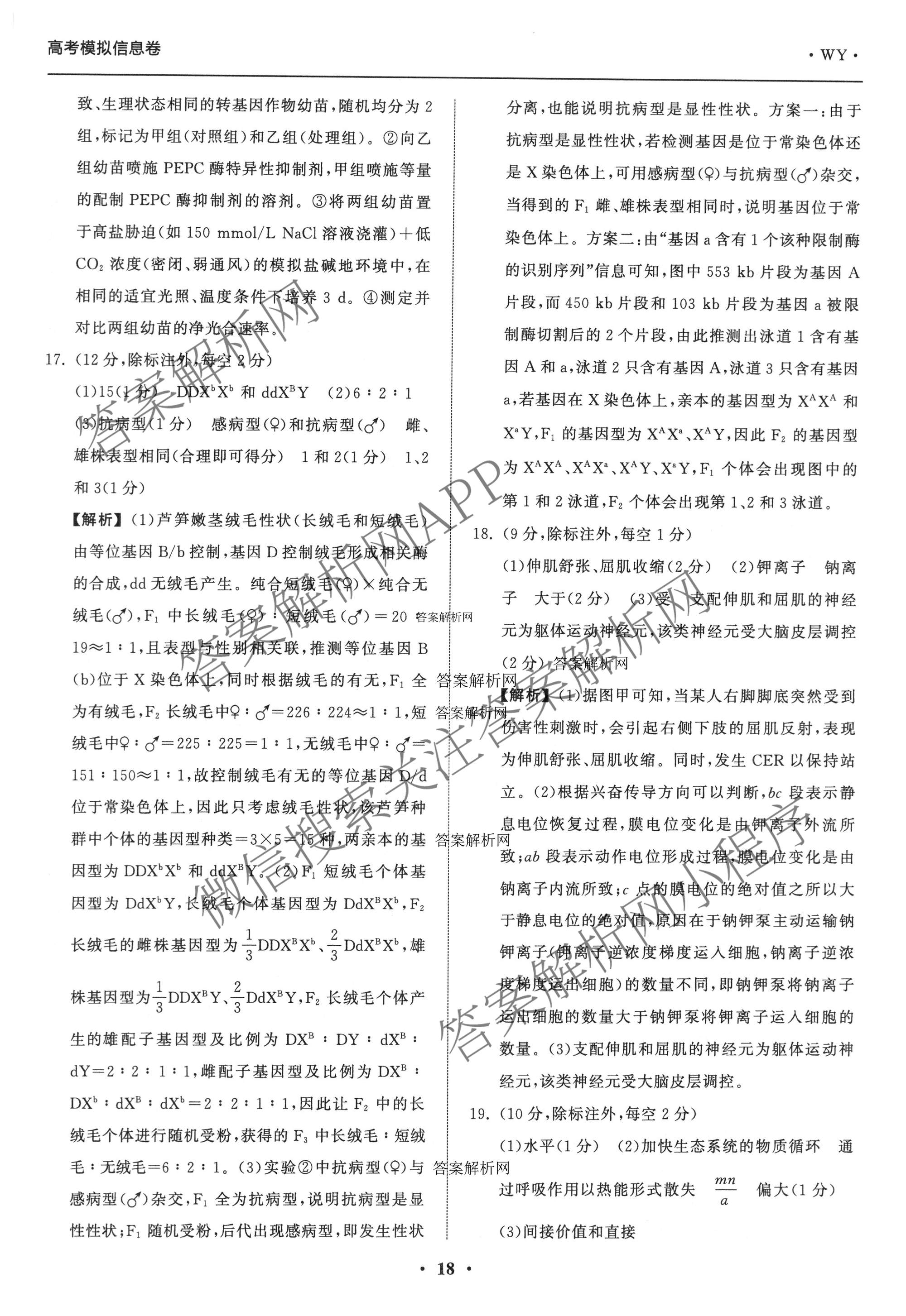 天舟高考衡中同卷2026年普通高等学校招生全国统一考试模拟信息卷(五)5试卷及答案汇总（含化学(WG)、化学(WY)、物理(山东版)等）生物答案