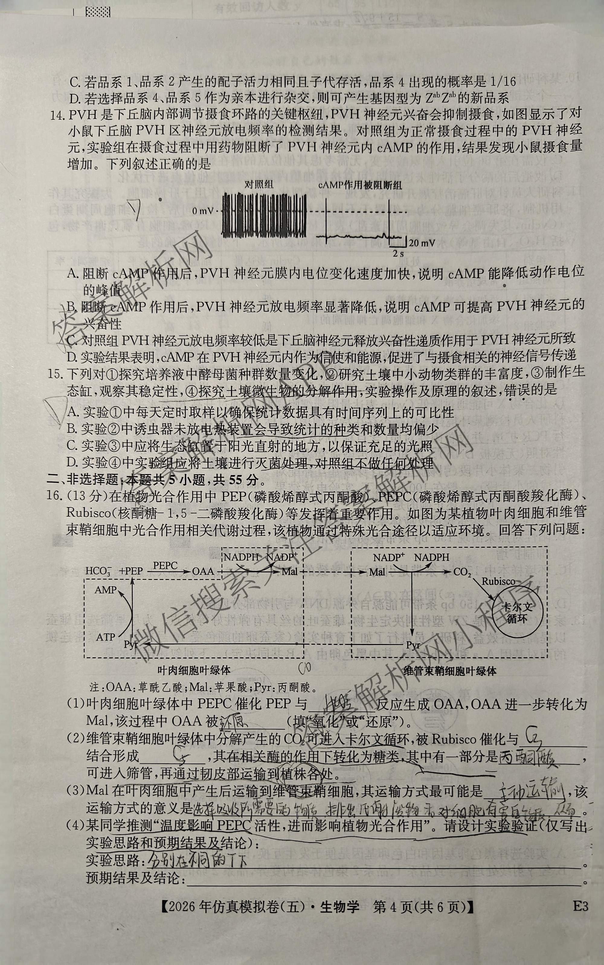 2026年全国高考仿真模拟卷(五)5（含英语、生物(E2)、物理(广西)等35份）生物试题