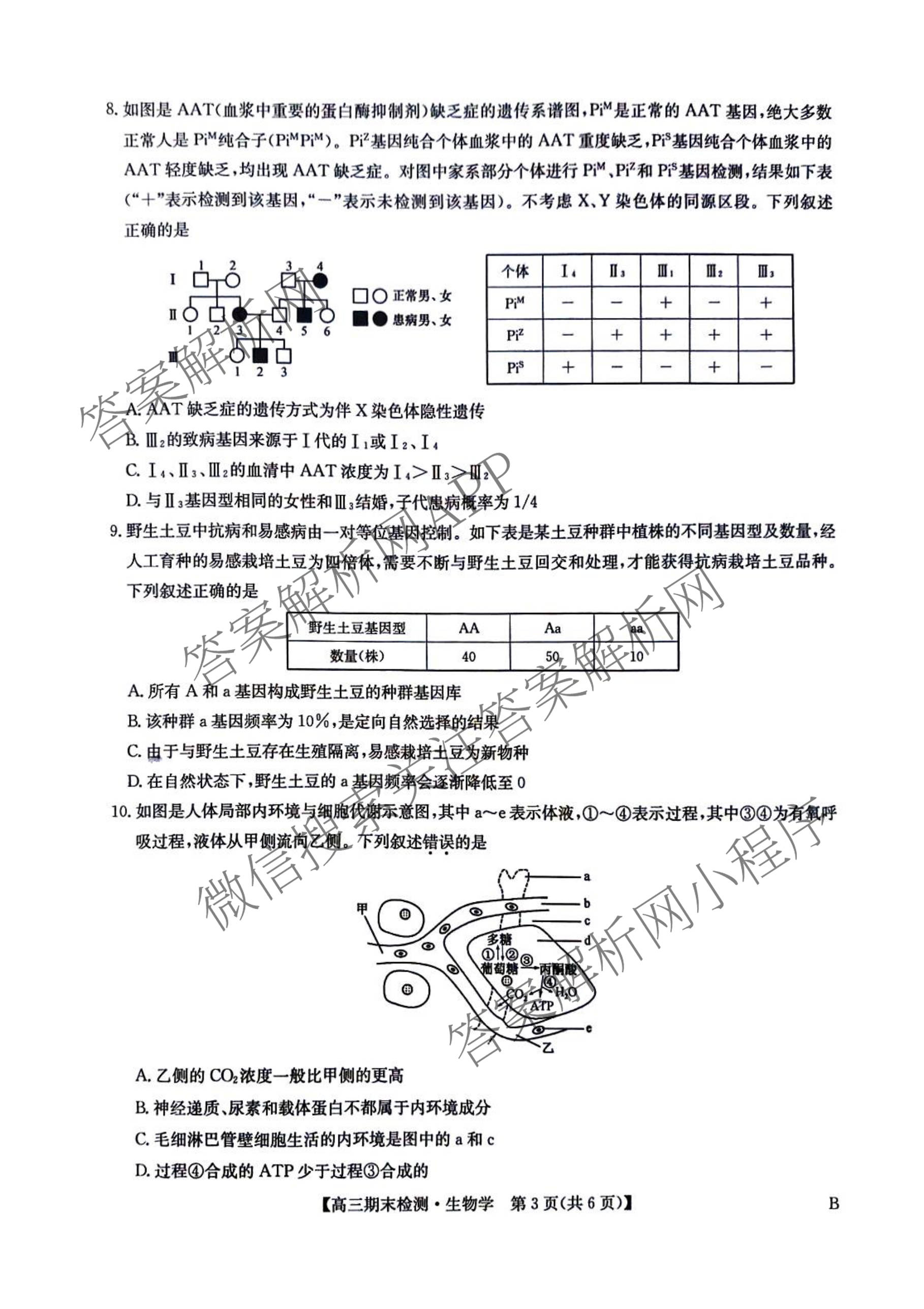 九师联盟2026届高三期末检测试卷及答案汇总（含地理(B) 语文(B) 化学(B)等）生物试题
