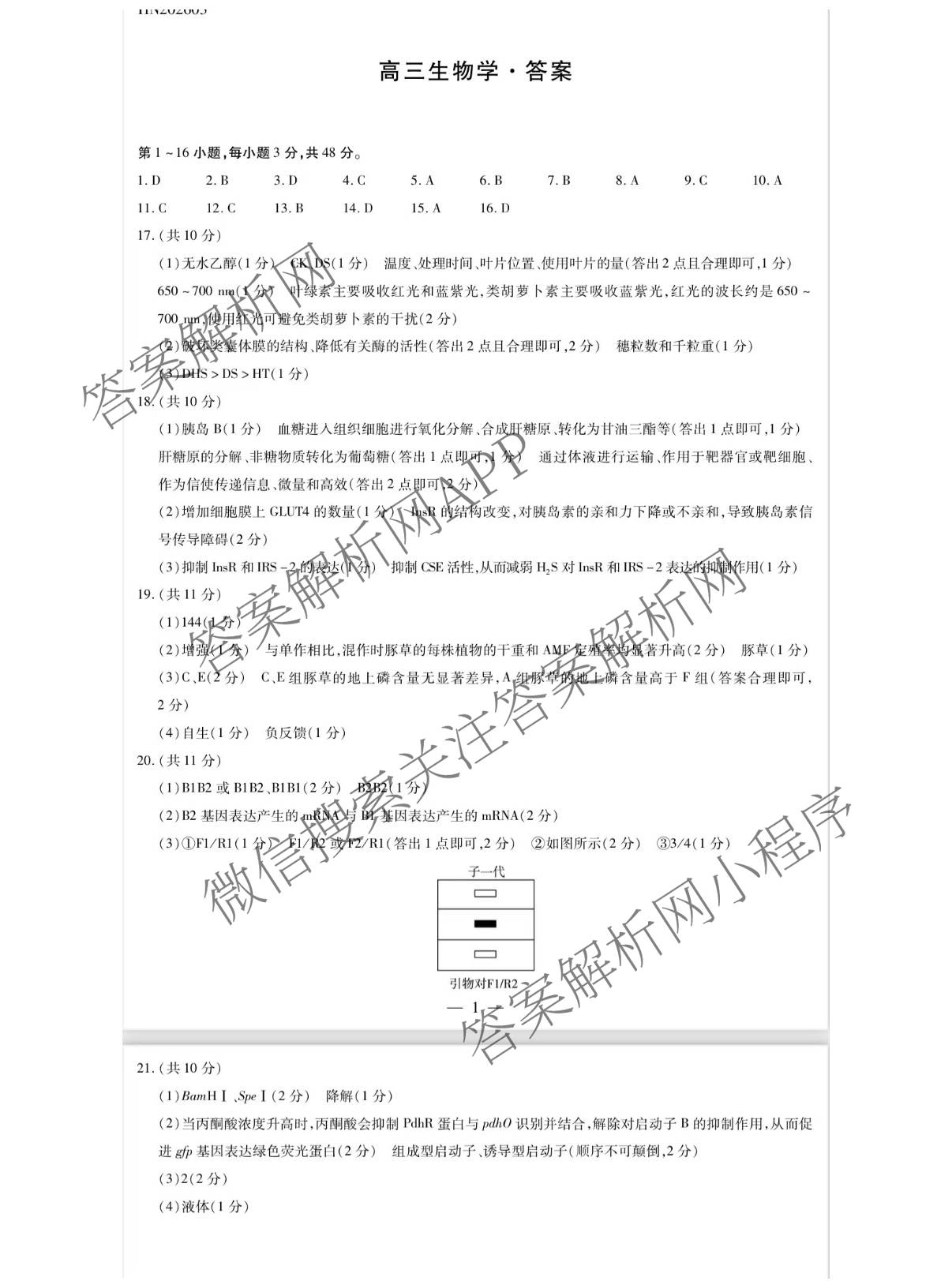 天一大联考河南省2025-2026学年高三3月联考(HN202603)（含化学、地理、政治等10份）生物答案