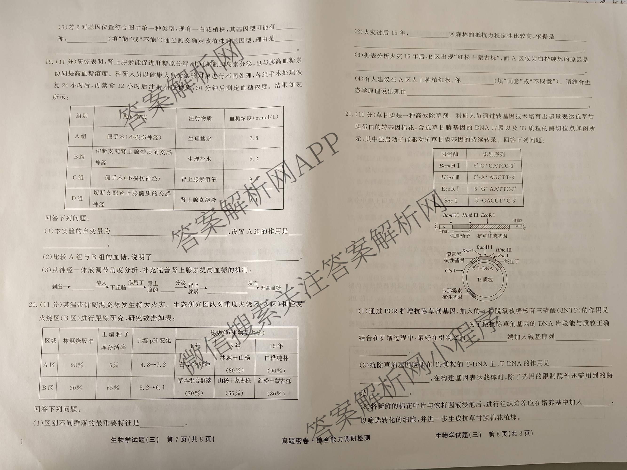 衡水真题密卷2025-2026学年度综合能力调研检测(三)3: 含地理(7)、生物(1)、英语(BT)试卷解析生物试题
