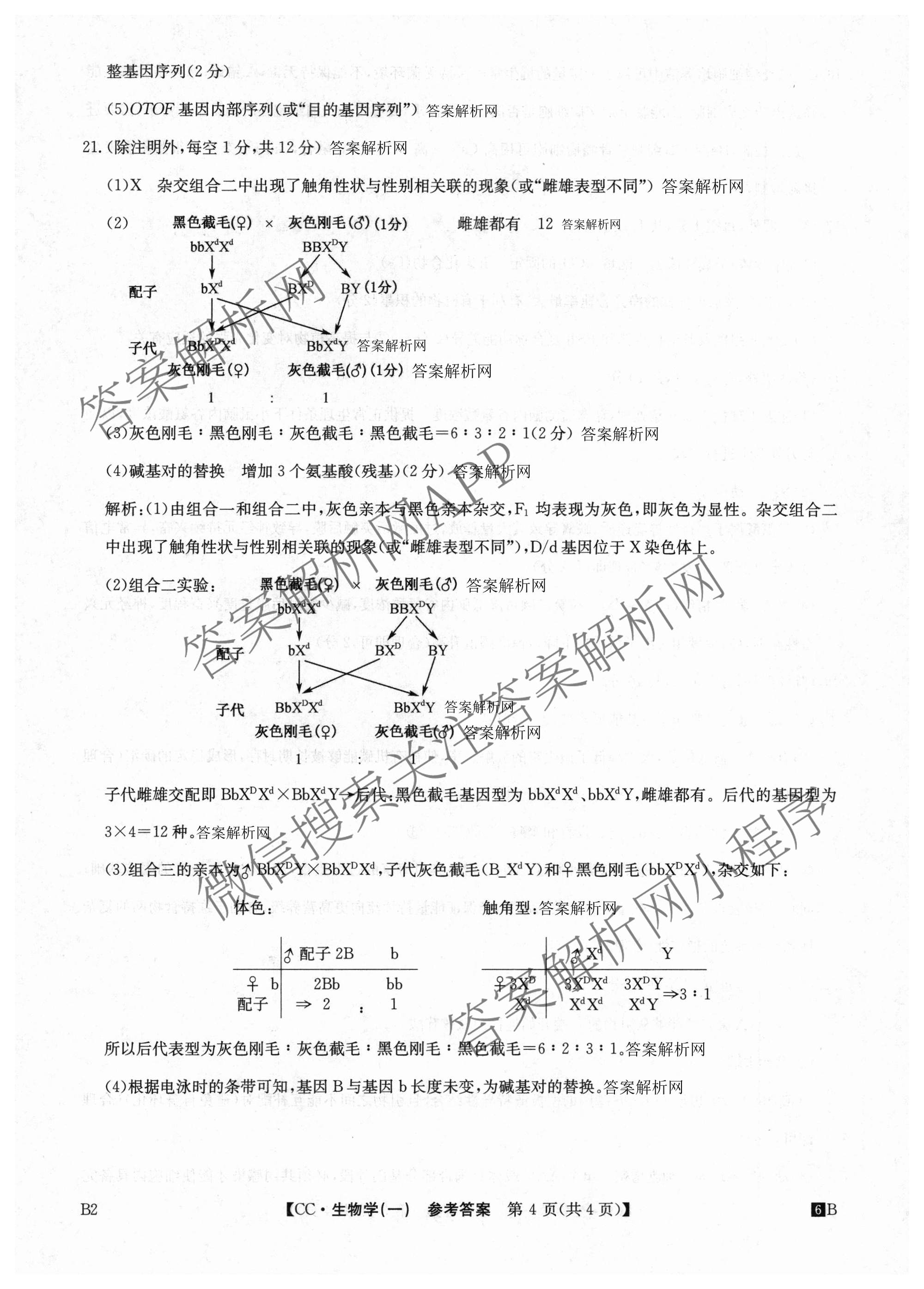 2026年全国高考冲刺压轴卷(一)1各科答案及试卷（含化学(广西) 数学 物理(AH)等67份）生物答案