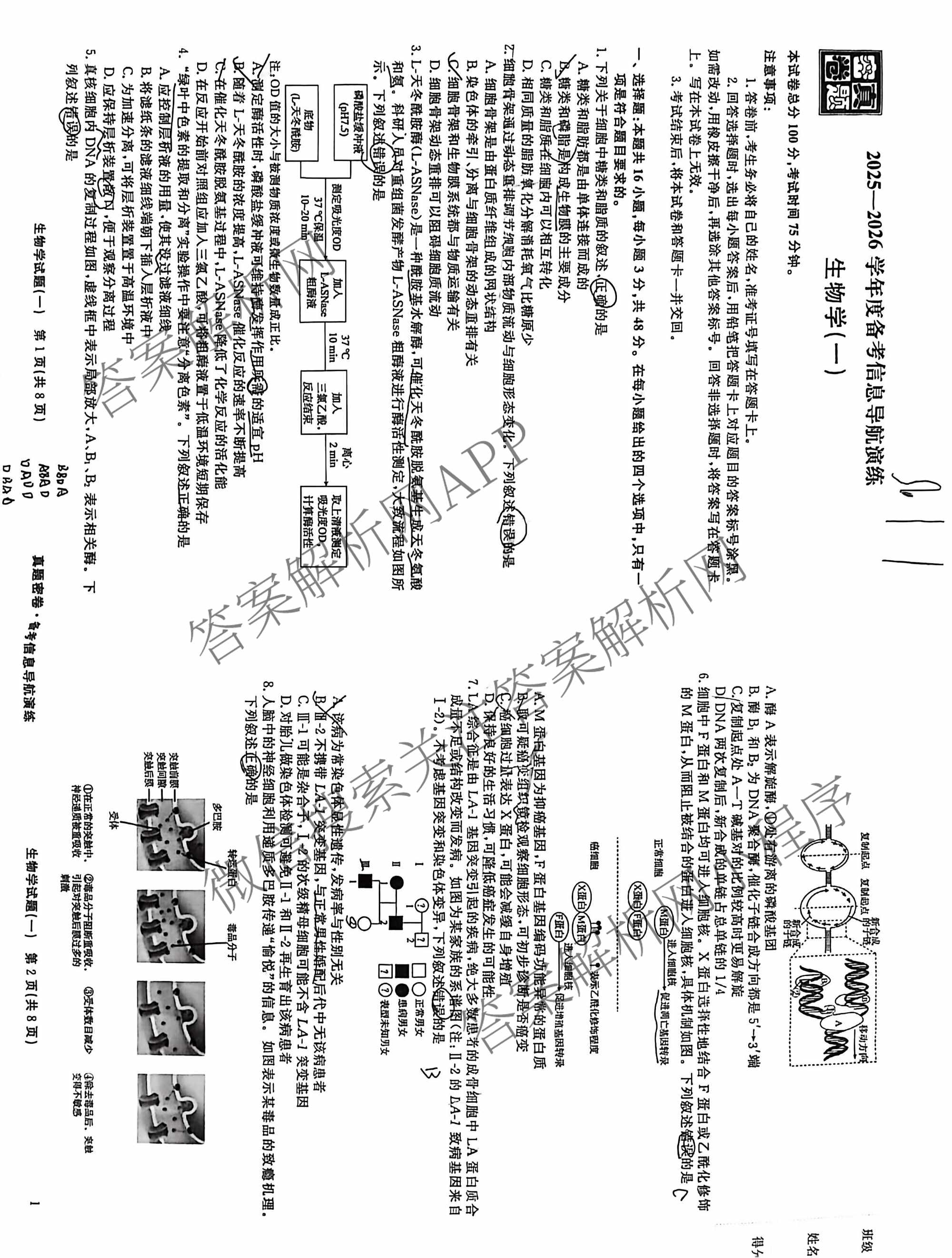 真题密卷2025-2026学年度备考信息导航演练(一)1试卷及答案汇总（含化学(7) 英语(BT) 语文(A)等）生物试题