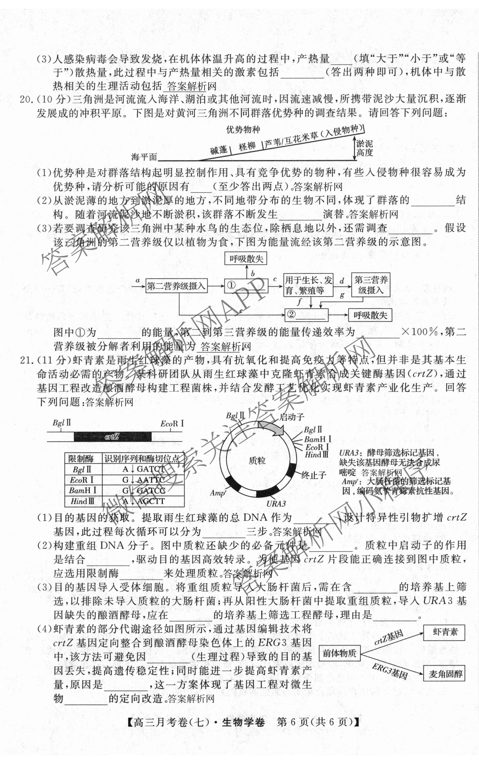 2026届名校大联盟高三月考卷(七)7试卷及答案汇总: 含数学、政治、历史试卷解析生物试题