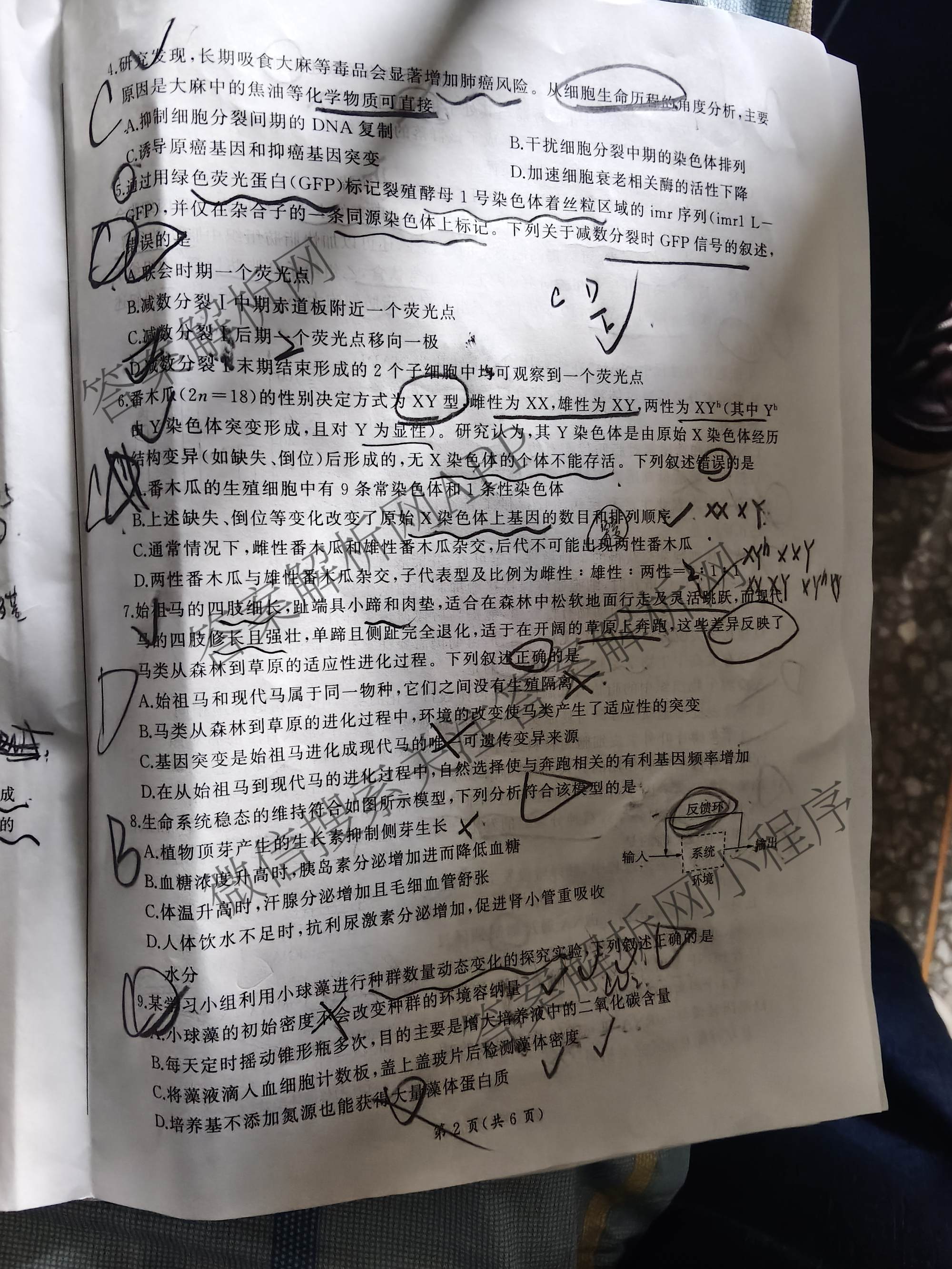 百师联盟2026届高三开年大联考(3.5)(已更新数学(百C)、历史(百N)、历史(百G)等81份)生物试题