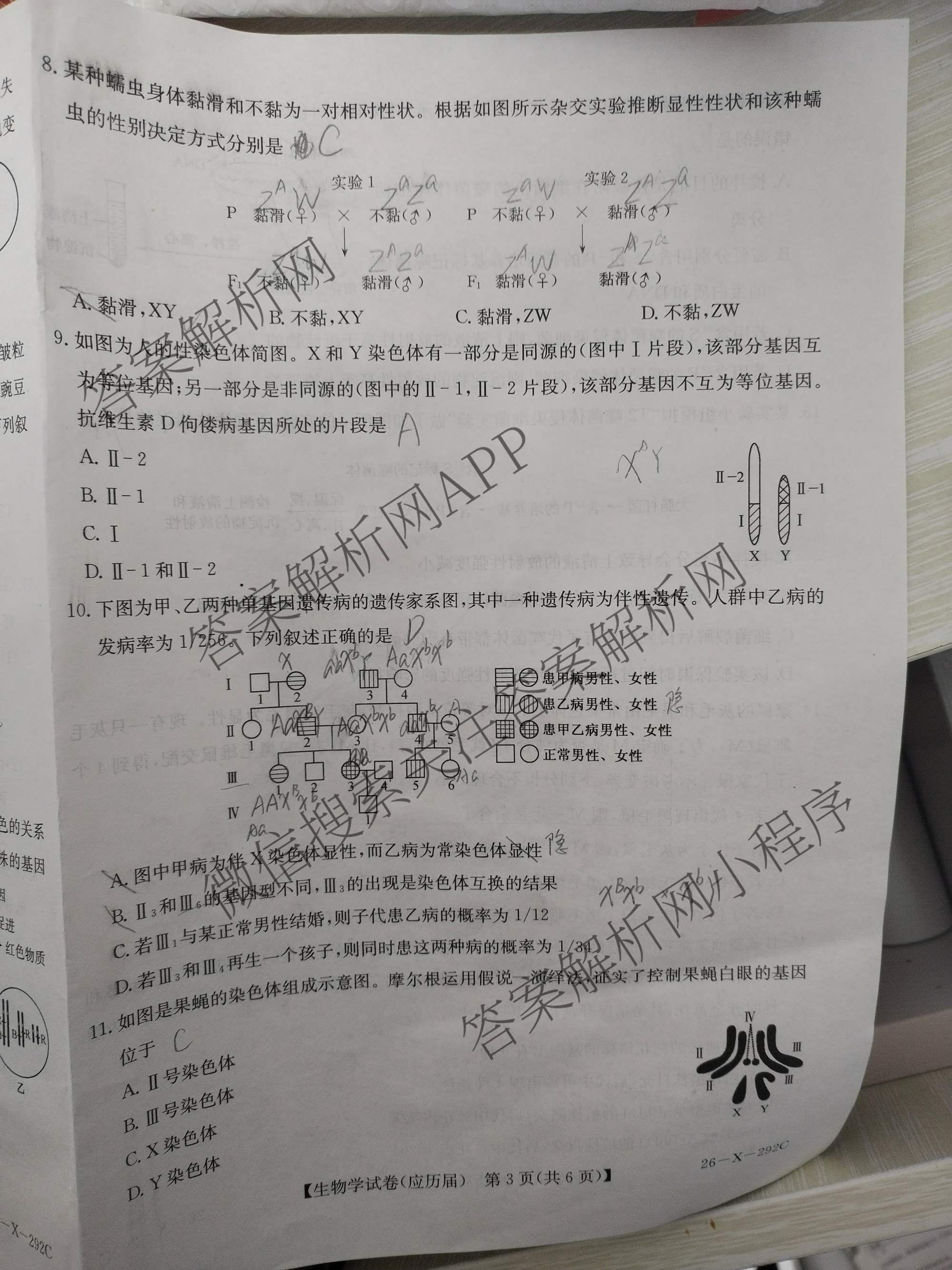 安徽省2025~2026学年度高三年级十一月份月考(26-X-292C)各科答案及试卷: 含英语(应历届) 生物(应历届) 政治试卷解析生物试题