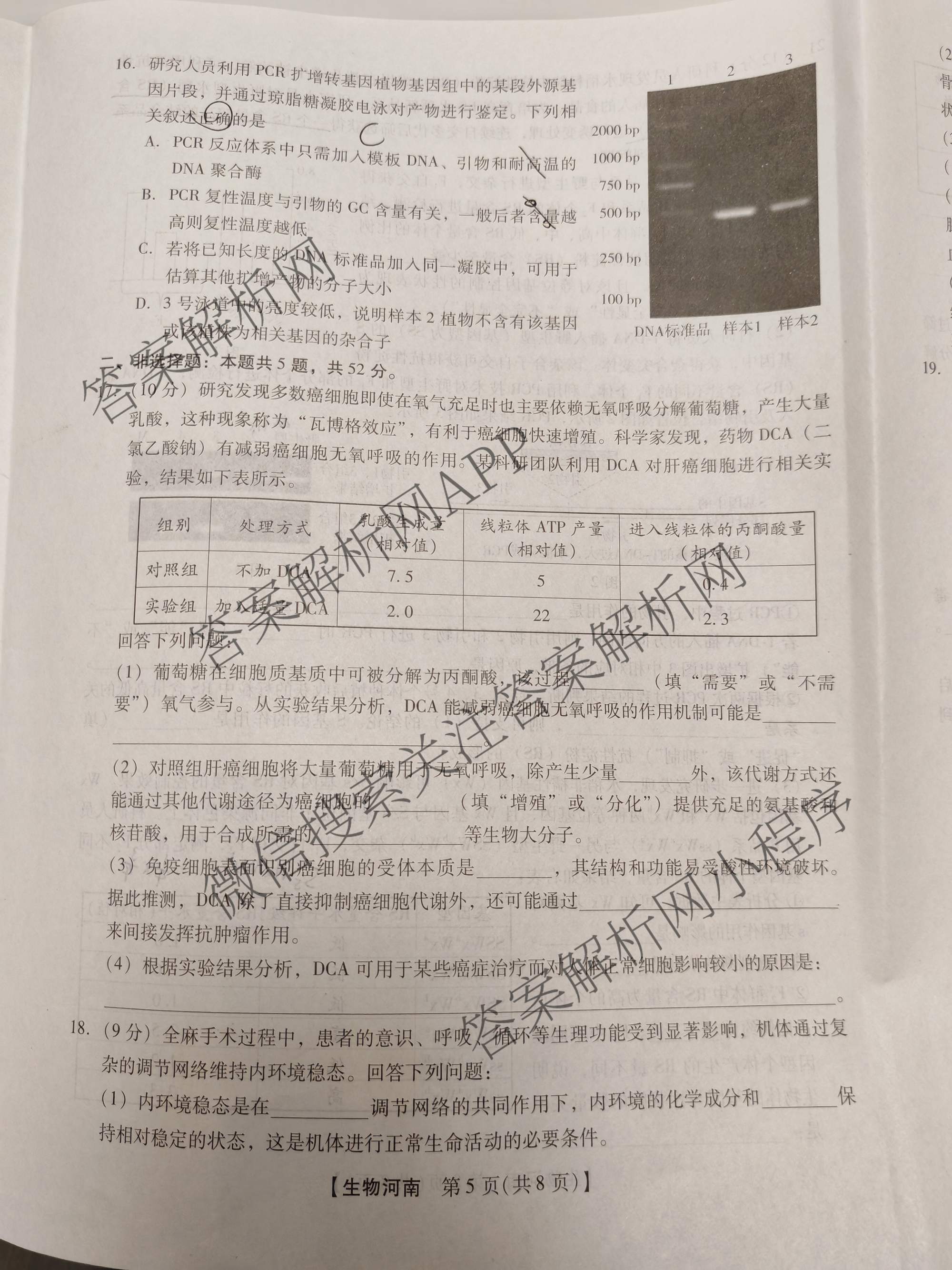 河南省鹤壁市2026届高三下学期开学考试(无标题:科目)试卷及答案汇总（含化学 地理 语文等9份）生物试题