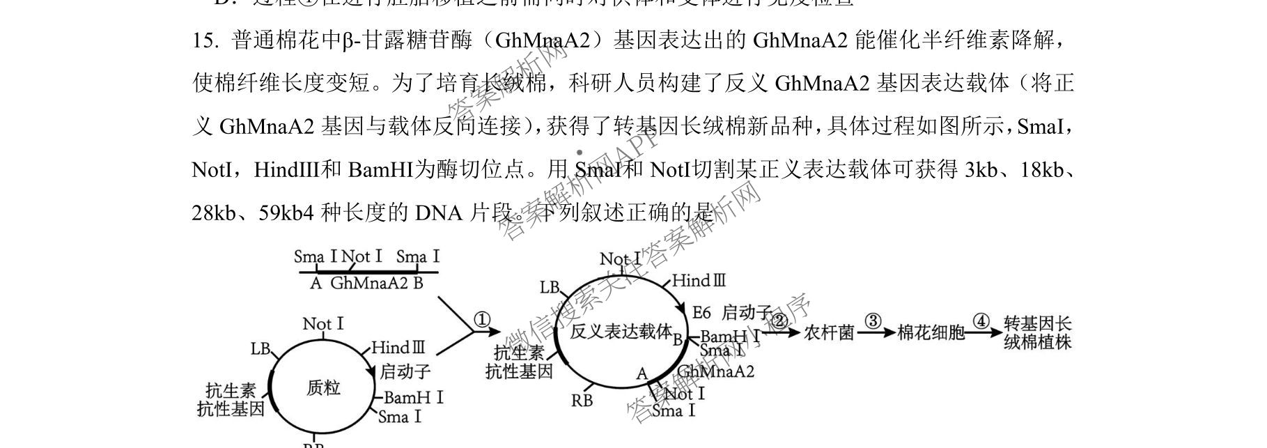 成都七中2025-2026学年度高三(上)一诊模拟检测试卷及答案汇总（含地理、数学、英语等）生物试题