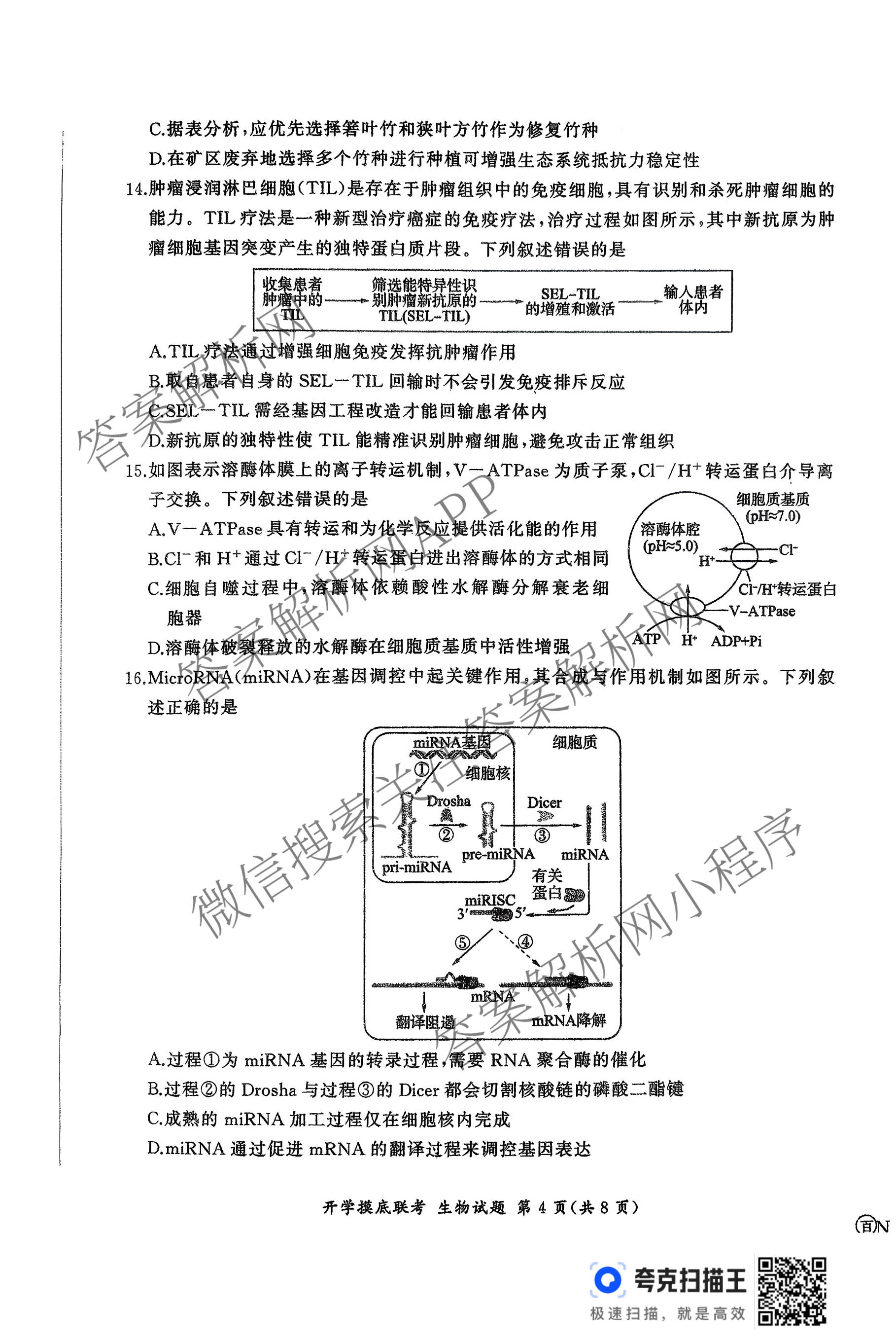 百师联盟2026届高三开学摸底联考各科答案及试卷（含化学(百G) 物理(百L) 英语(百B)等）生物试题