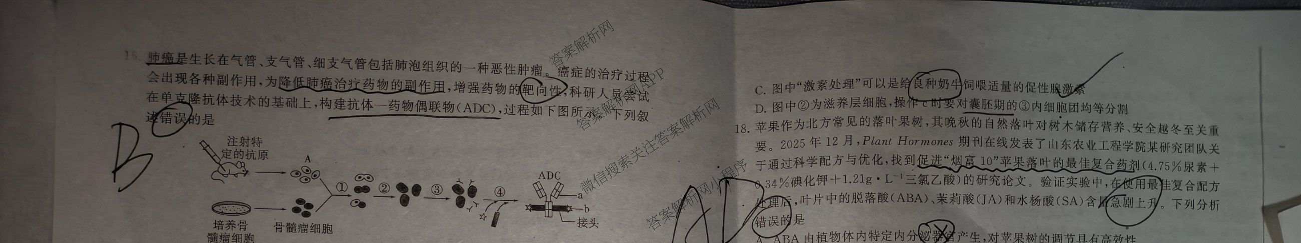 冲刺新高考2026届高考仿真训练(T8)(五)5各科答案及试卷: 含生物(河南专版)、物理(河北专版)、物理(陕晋青宁专版)试卷解析生物试题