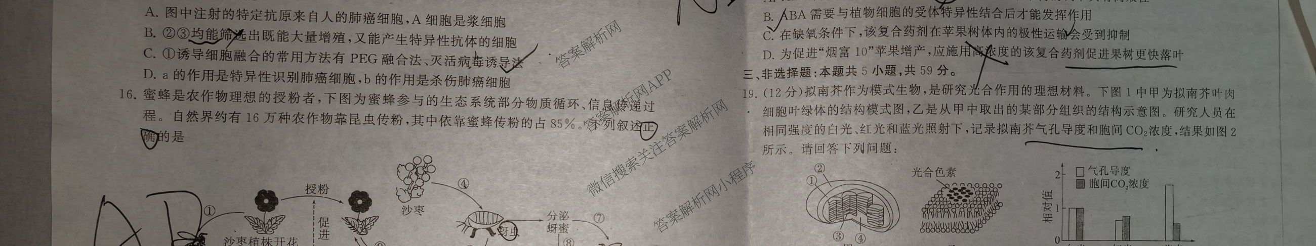 冲刺新高考2026届高考仿真训练(T8)(五)5各科答案及试卷: 含生物(河南专版)、物理(河北专版)、物理(陕晋青宁专版)试卷解析生物试题