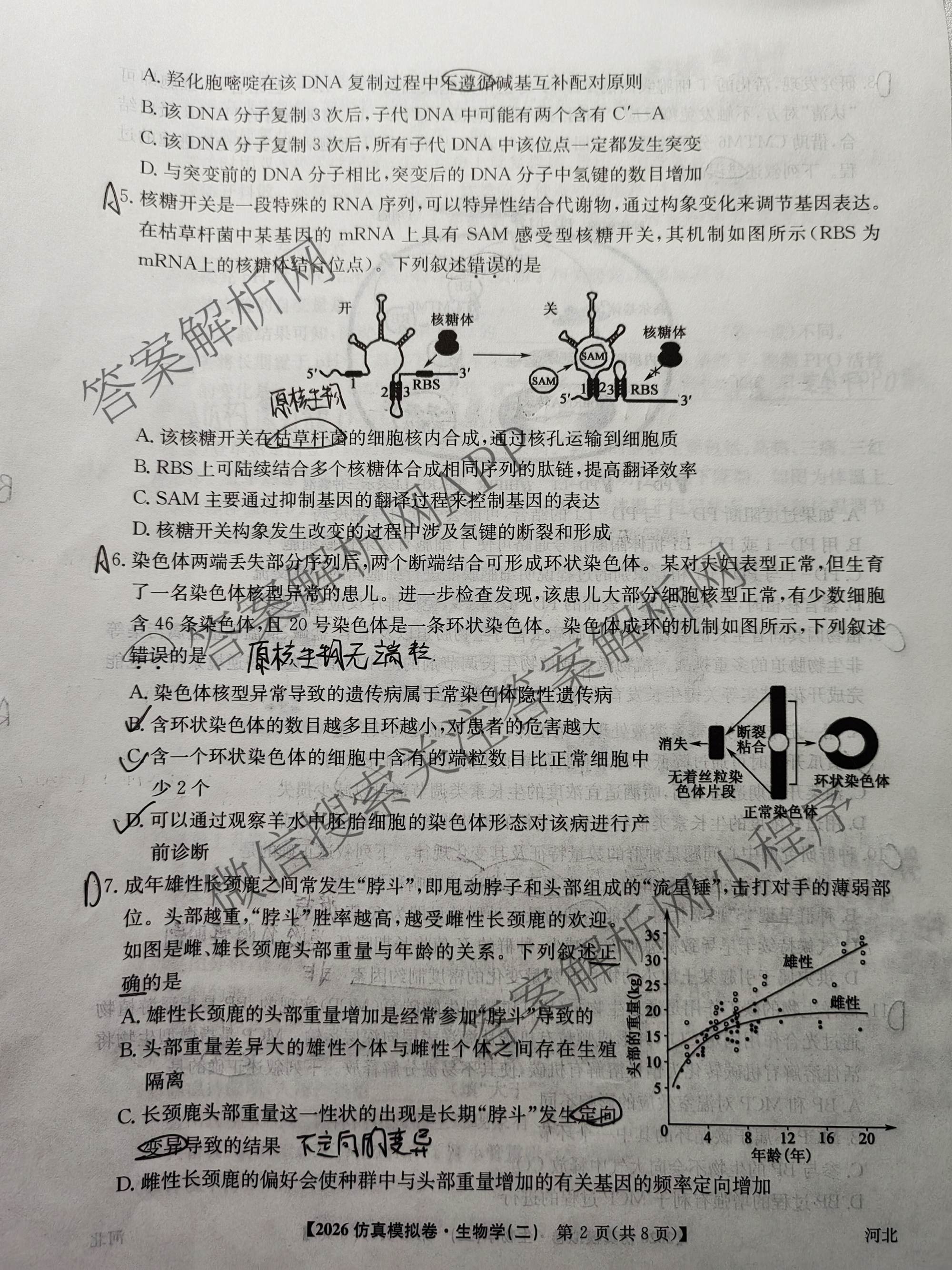 2026年普通高等学校招生全国统一考试仿真模拟卷(二)2各科答案及试卷(已更新数学、地理(F1)、化学(F1)等14份)生物试题