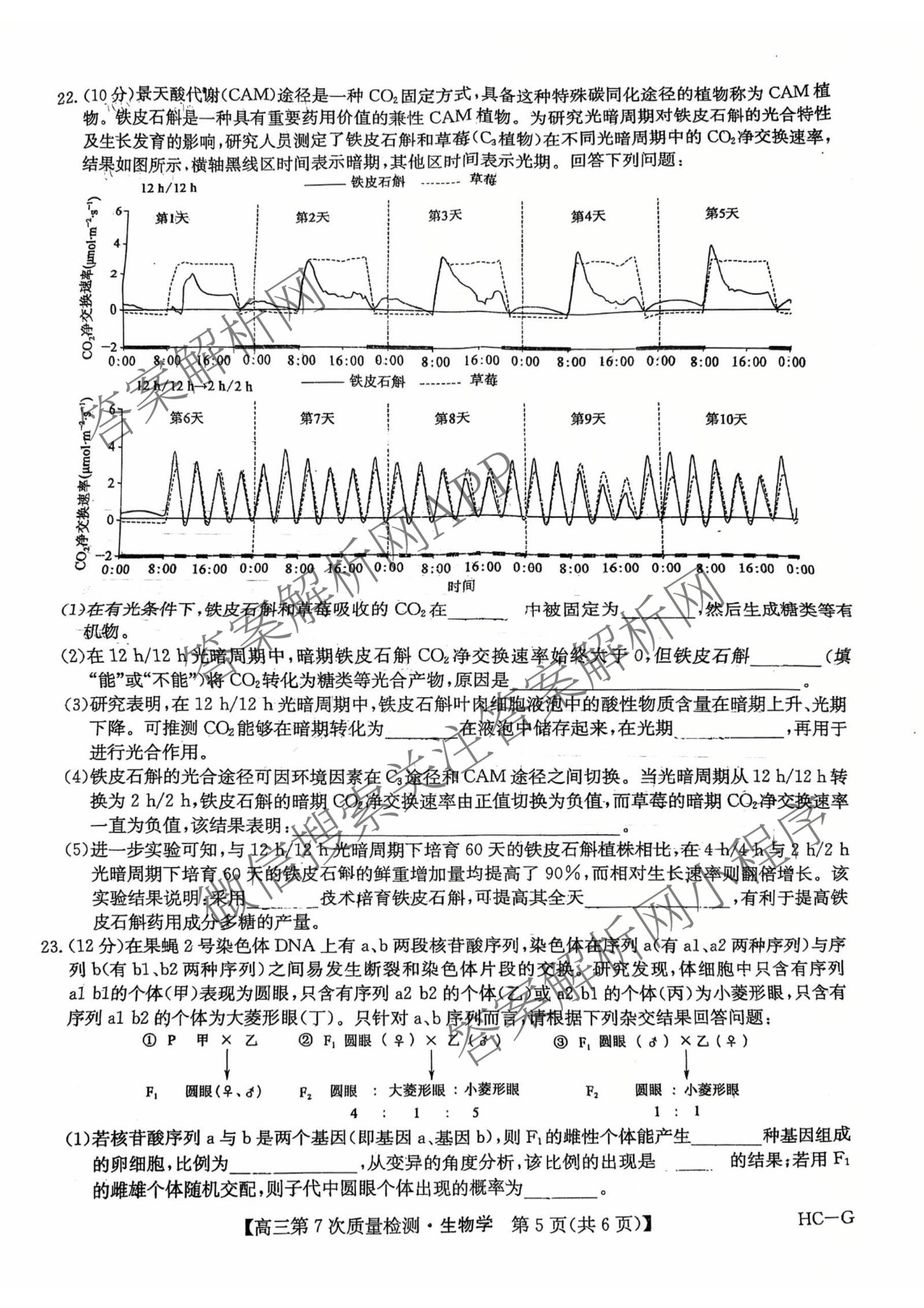 九师联盟2026届高三第7次质量检测巩固卷(G)(03.05)各科答案及试卷（含历史(X-G)、物理(H-G)、物理(L-G)等）生物试题