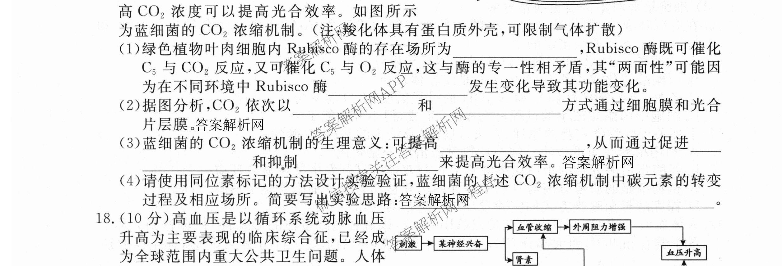 2026年普通高等学校招生统一考试最新模拟卷(二)2试卷及答案汇总(已更新物理(XS6J) 地理(AG6) 政治(XS6J)等13份)生物试题