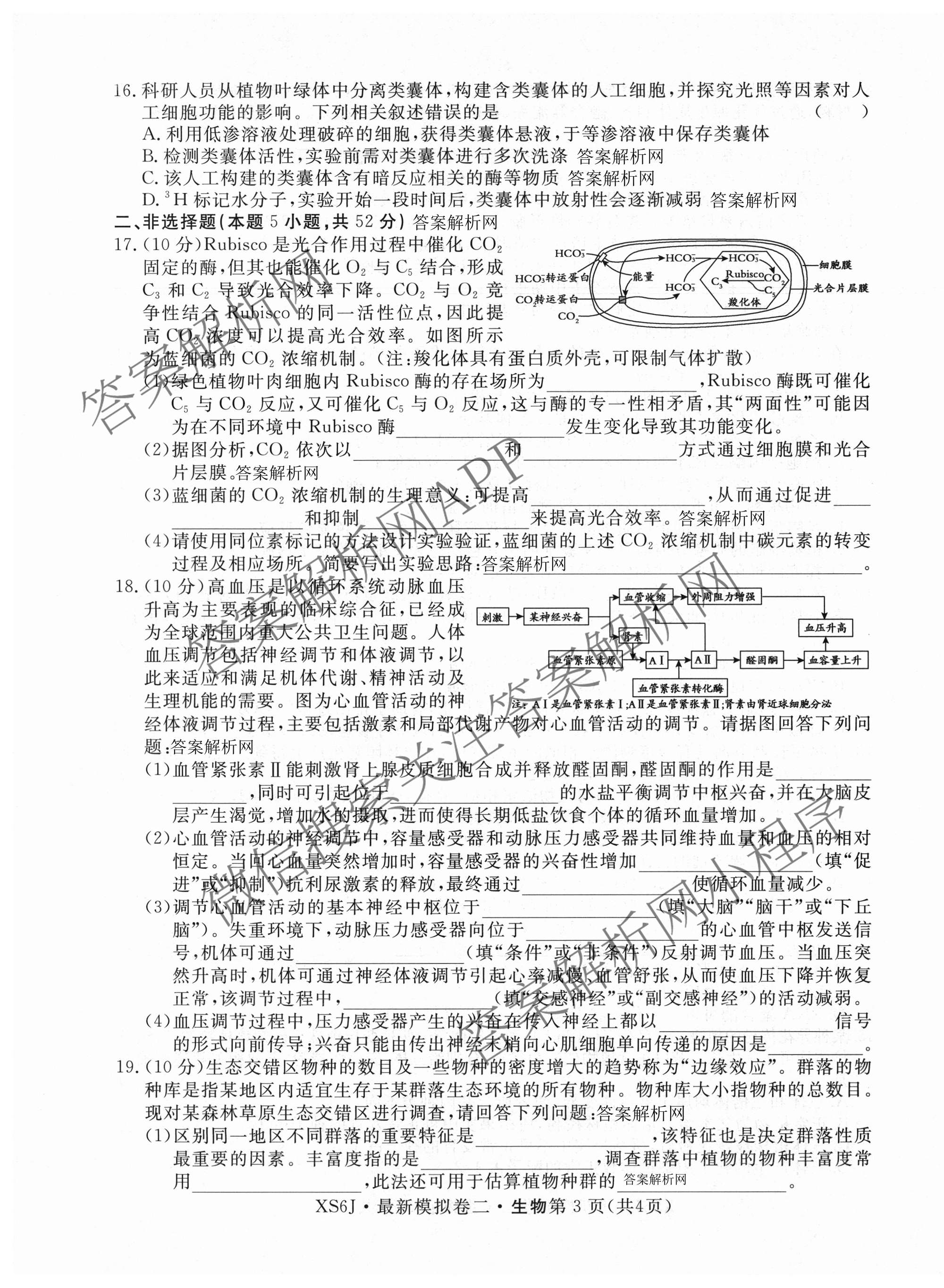 2026年普通高等学校招生统一考试最新模拟卷(二)2试卷及答案汇总（含生物(HB6) 生物(新S6J) 政治(新S6J)等）生物试题
