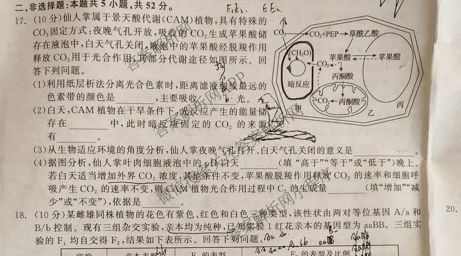 陕西省2027届高三开学考试(标题：高三科目试卷)（含化学(C) 数学 物理(A)等）生物试题