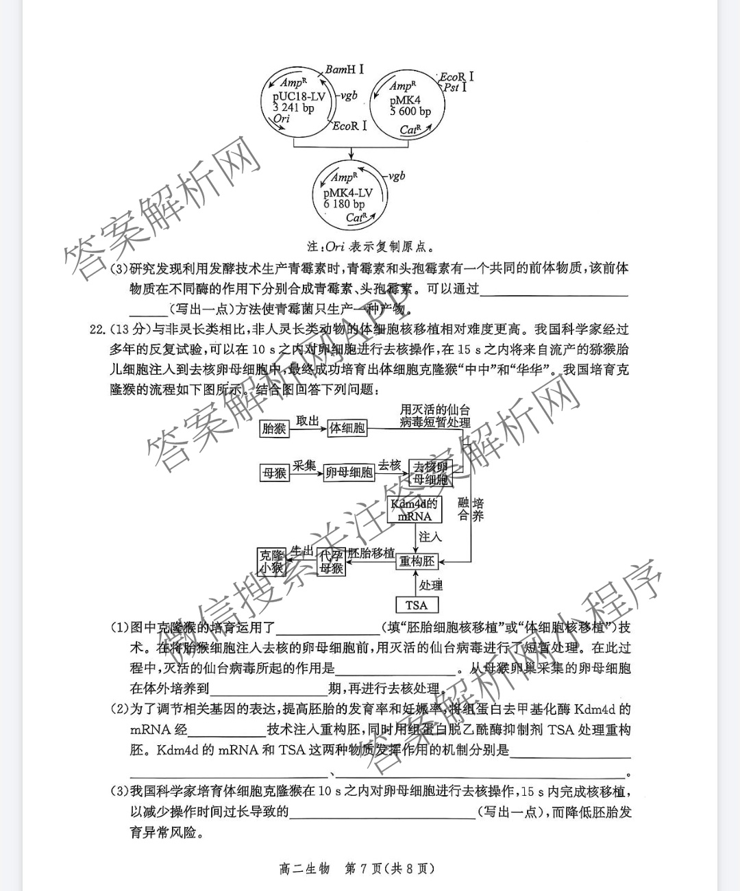 河北省2025年高二年级第二学期期末模拟检测（含数学、物理、政治等9份）生物试题
