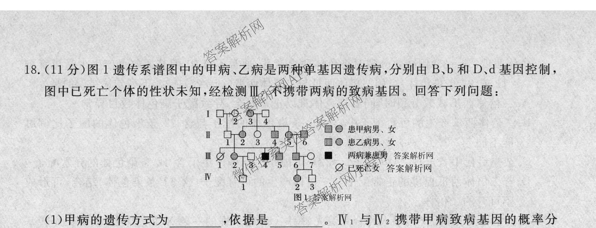 2026普通高等学校招生全国统一考试冲刺押题卷(五)5试卷及答案汇总（含数学(A)、地理(HNY)、语文等）生物试题