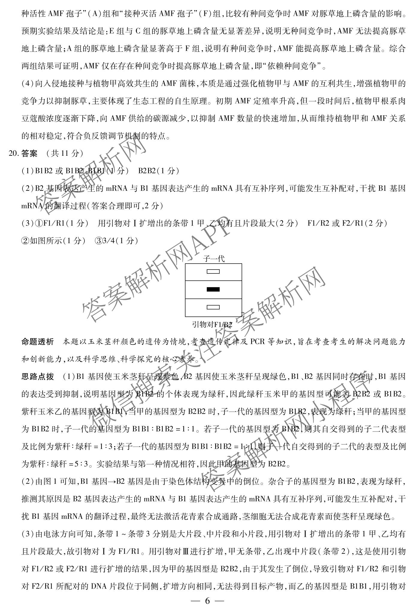 天一大联考2025-2026学年高三3月联考(SHAX202603)(3.5)试卷及答案汇总（含数学(B) 数学 物理等27份）生物答案