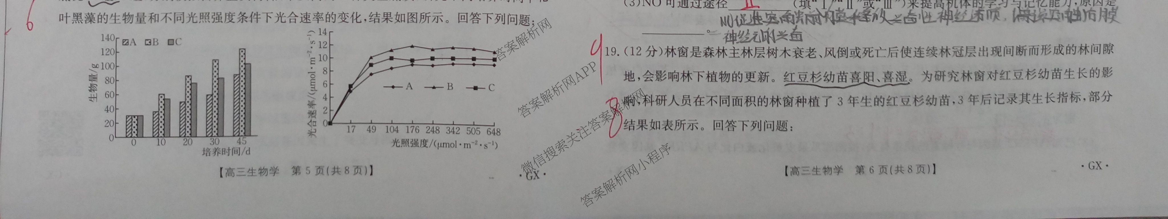 [百万联考]广西省2025届高三5月联考[GX](5.28)（含日语(25-R16)、物理、生物等）生物试题
