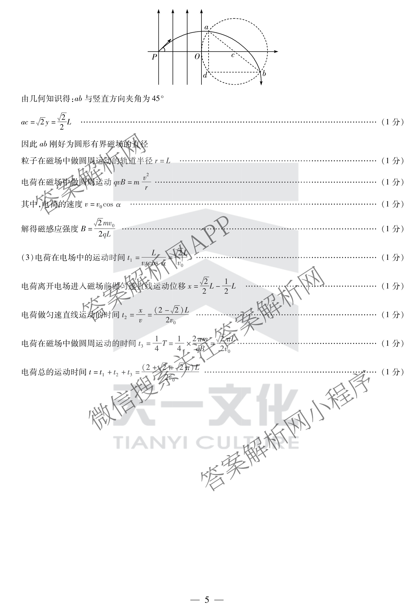天一大联考2024-2025学年(下)安徽高二3月调研考试各科答案及试卷: 含数学、化学(池州专版)、生物试卷解析物理答案