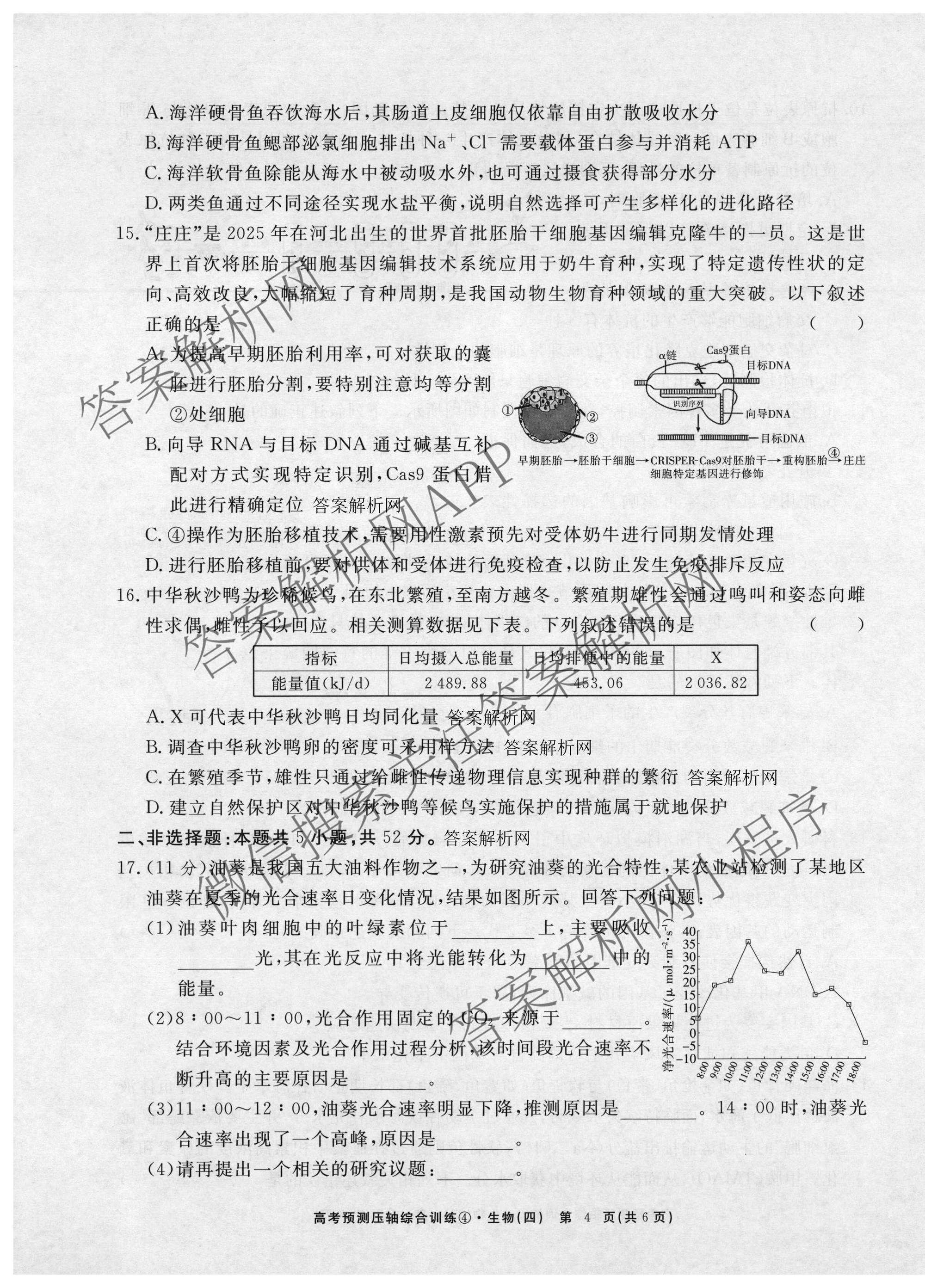 2026届高考预测压轴综合训练(四)4各科答案及试卷: 含政治(4) 英语 物理(5)试卷解析生物试题