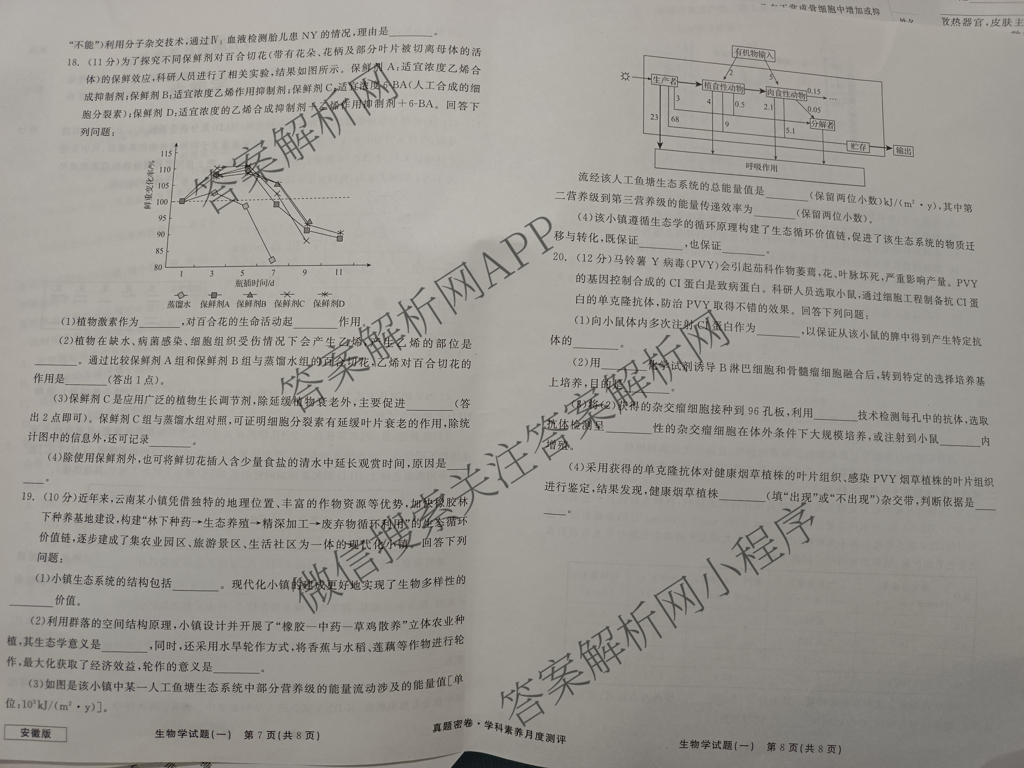 真题密卷2024年学科素养月度测评(一)各科答案及试卷(已更新物理(安徽版)、英语、语文等11份)生物试题