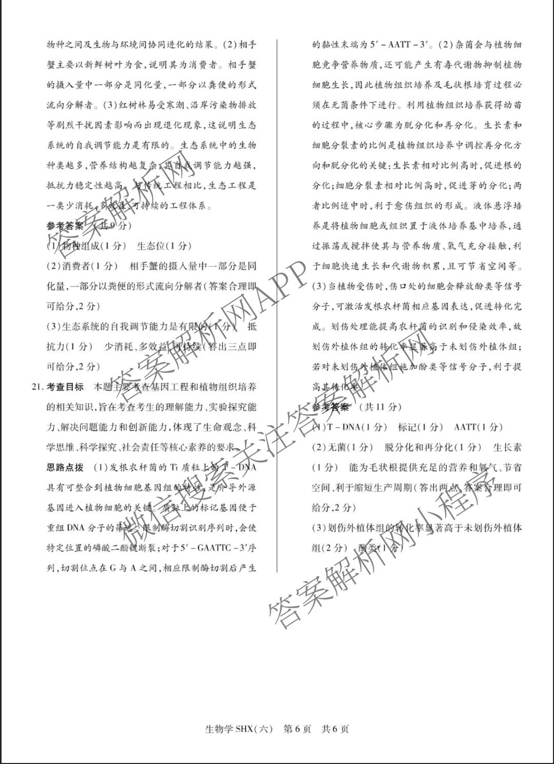 天一大联考2026届高三冲刺(六)6（含物理(SHX) 物理(ANH) 化学(ANH)等27份）生物答案