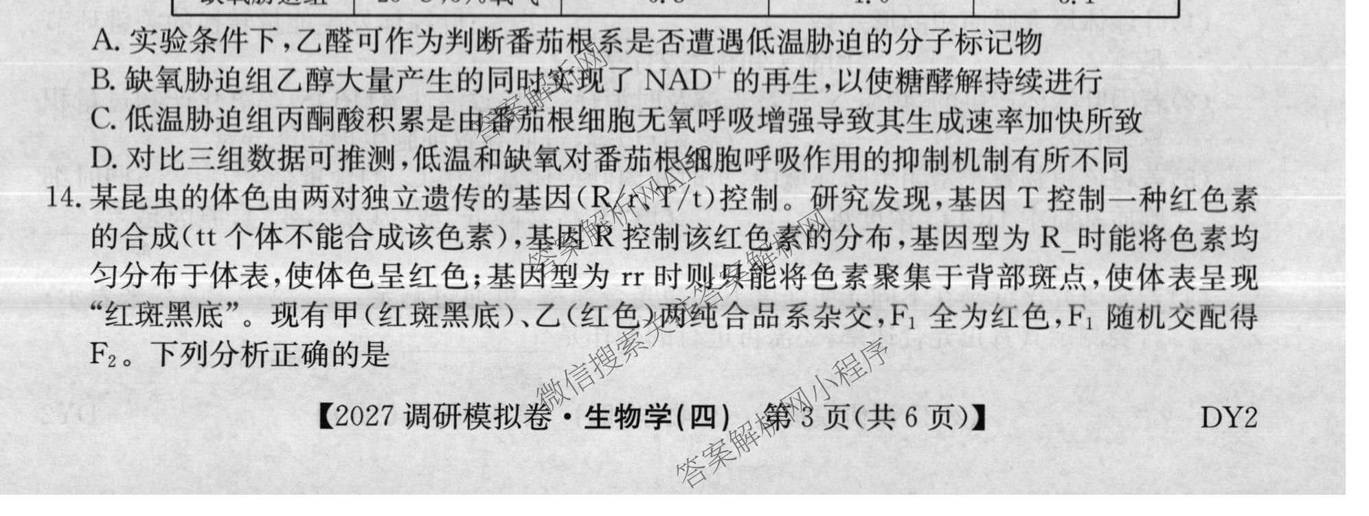 2027届全国高考调研模拟卷(四)（15科全）生物试题