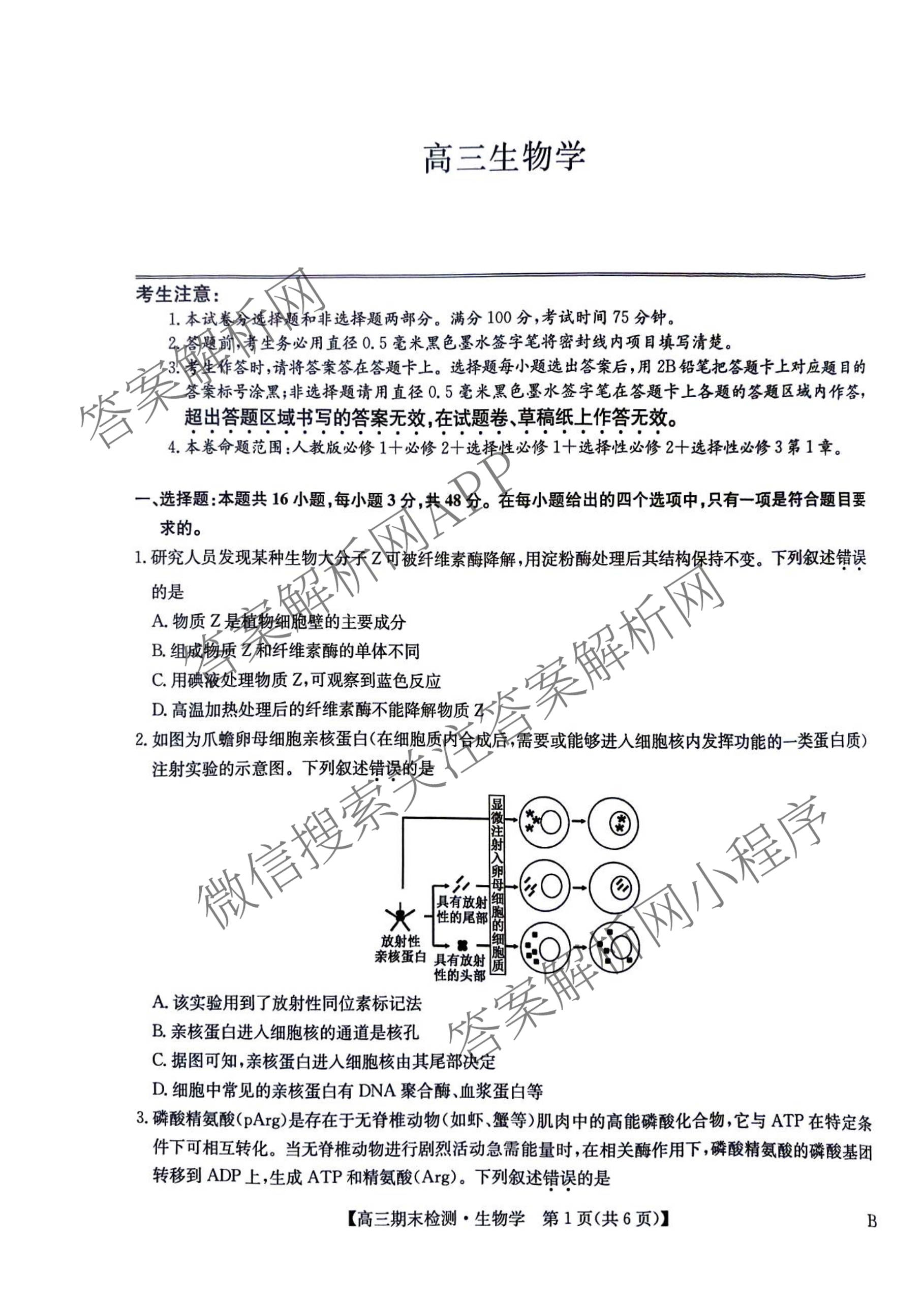 九师联盟2026届高三期末检测试卷及答案汇总（含地理(B) 语文(B) 化学(B)等）生物试题