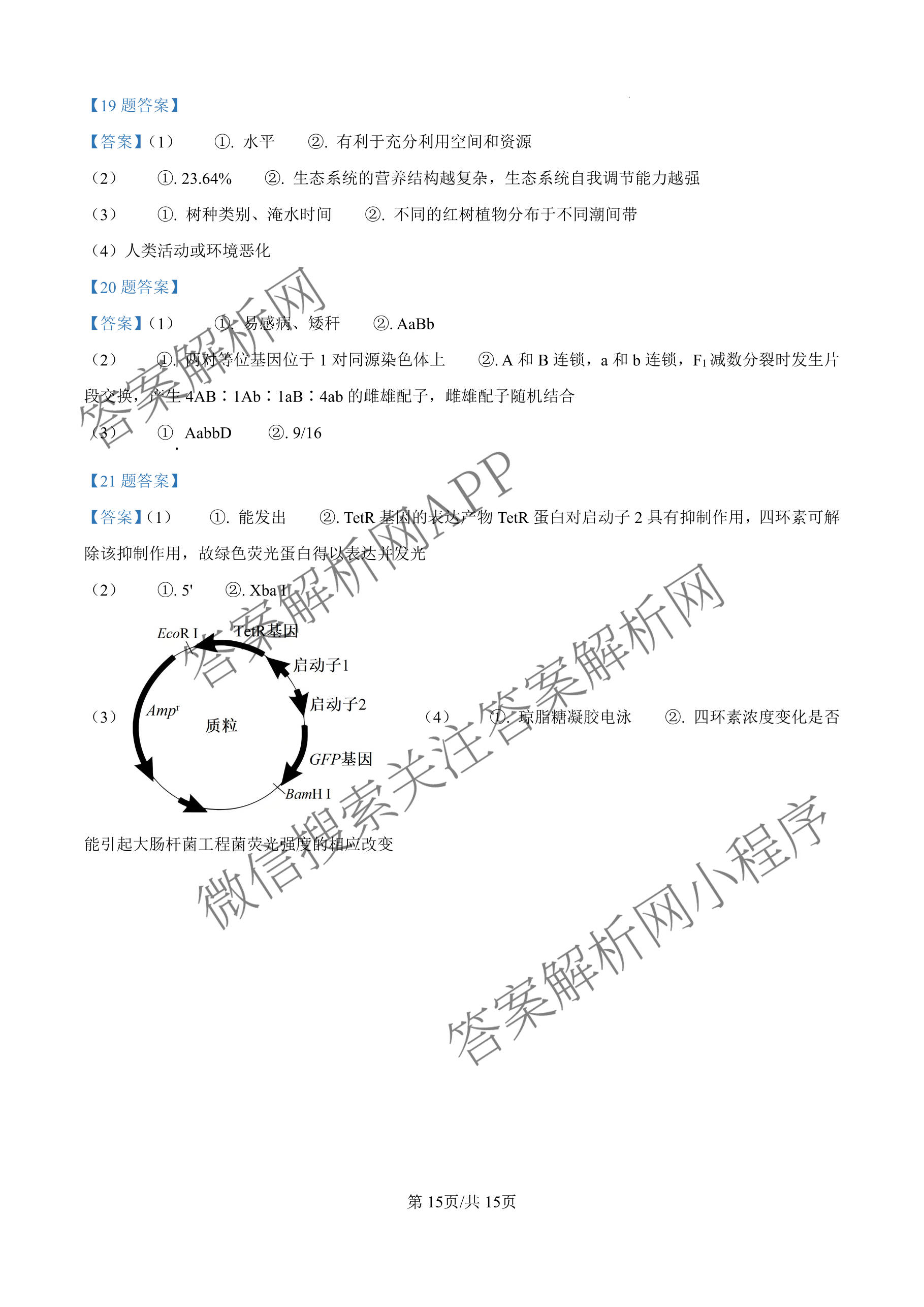 广东六校联盟2026届高三年级第一次联考（含政治 生物 语文等）生物答案