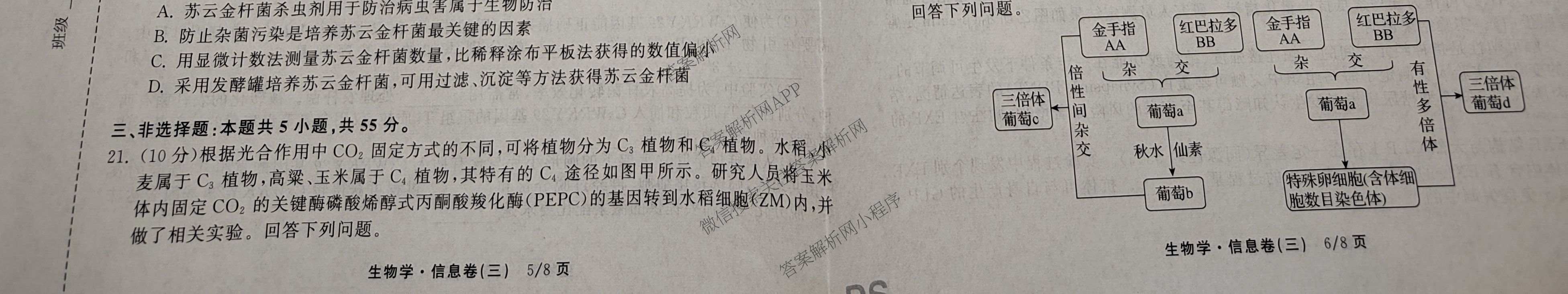 天舟高考衡中同卷2026年普通高等学校招生全国统一考试模拟信息卷(三)3（含历史(HJ) 地理(GY) 数学(无字母)等）生物试题