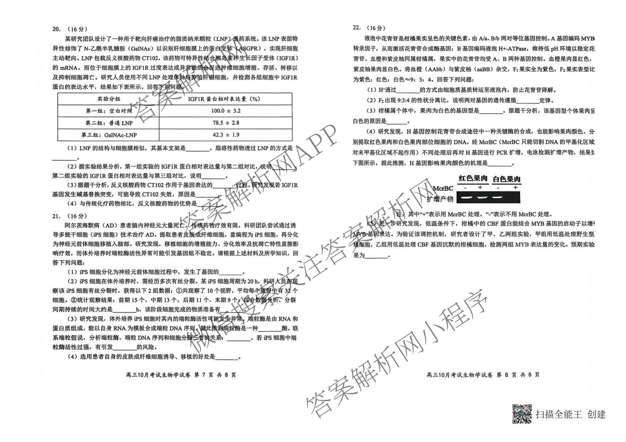 湖北省部分名校2025年高三年级10月考试（含历史 物理 英语等）生物试题