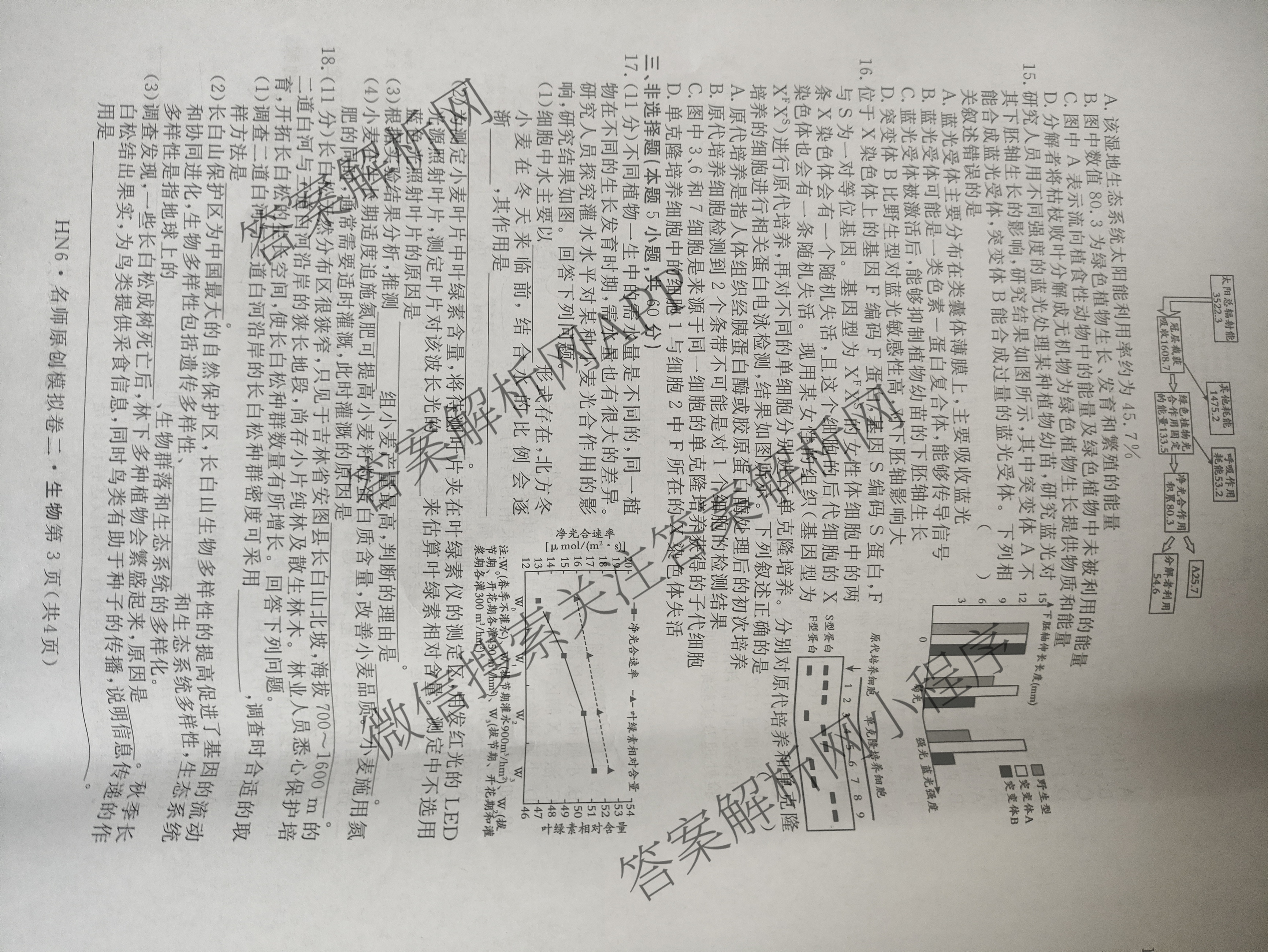 2026届高三总复习名师原创模拟(二)2各科答案及试卷（含地理(新S6J)、地理(CQX6)、化学(CQX6)等）生物试题