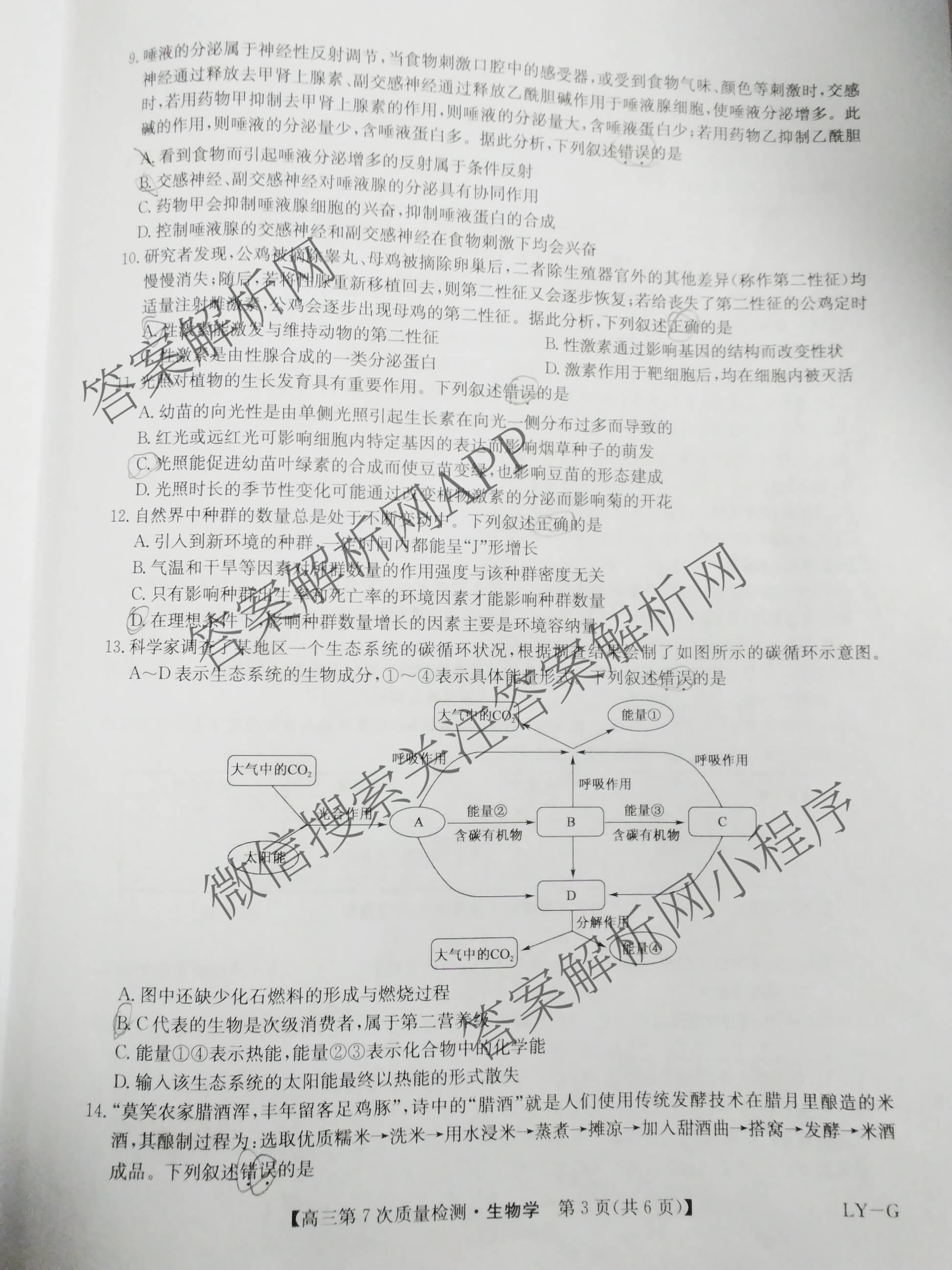九师联盟2026届高三第7次质量检测巩固卷(G)(03.05)各科答案及试卷（含历史(X-G)、物理(H-G)、物理(L-G)等）生物试题