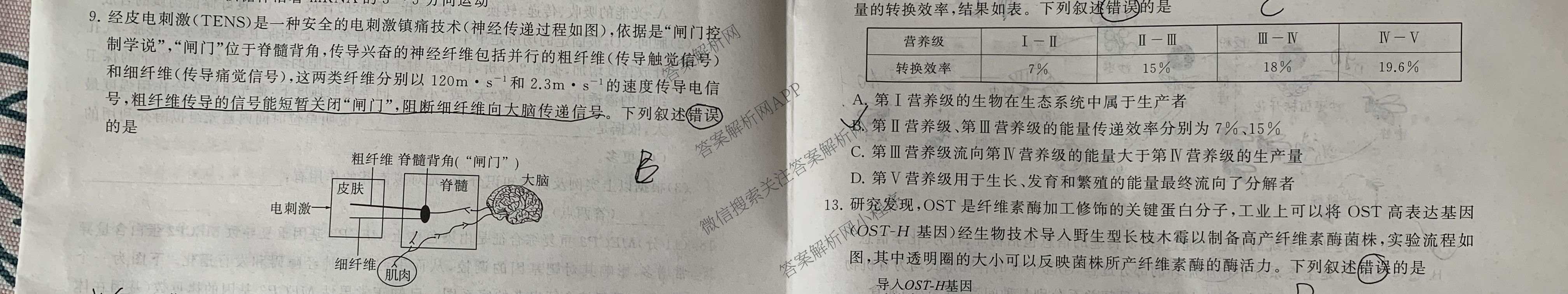 冲刺新高考2026届高考仿真训练(T8)(五)5各科答案及试卷: 含生物(河南专版)、物理(河北专版)、物理(陕晋青宁专版)试卷解析生物试题