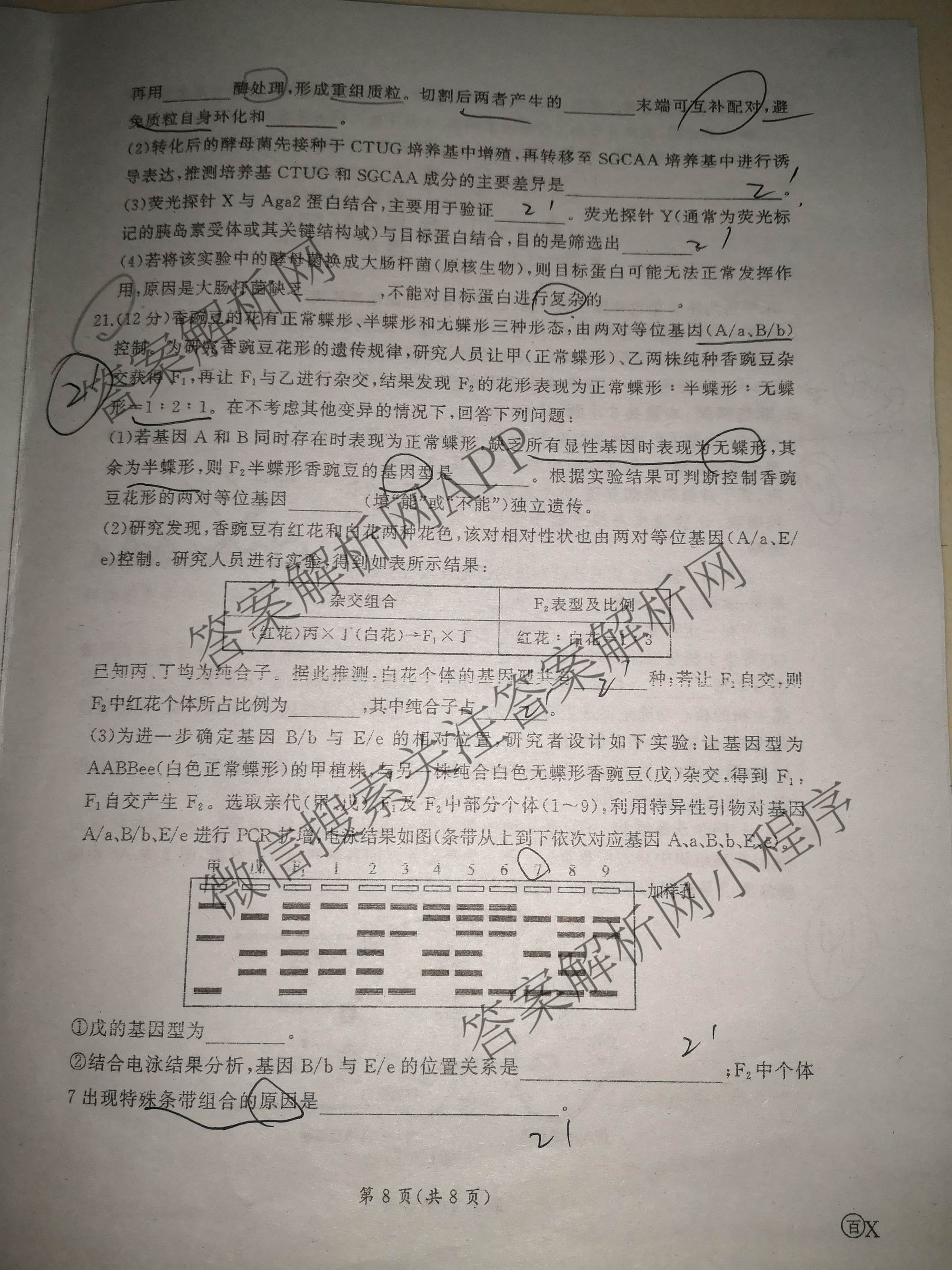 百师联盟2026届高三开年大联考(3.5)(已更新数学(百C)、历史(百N)、历史(百G)等81份)生物试题