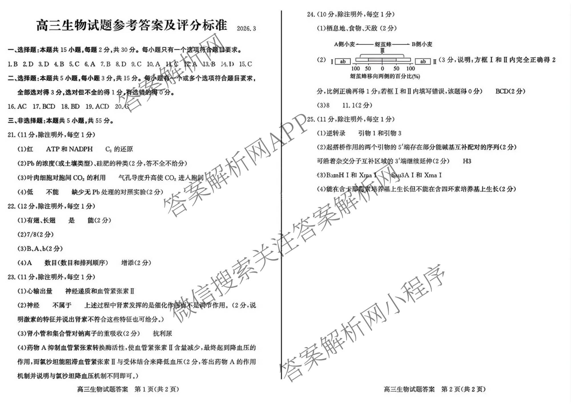 山东省滨州市2026届高三(无标题)(2026.3)各科答案及试卷（9科全）生物答案