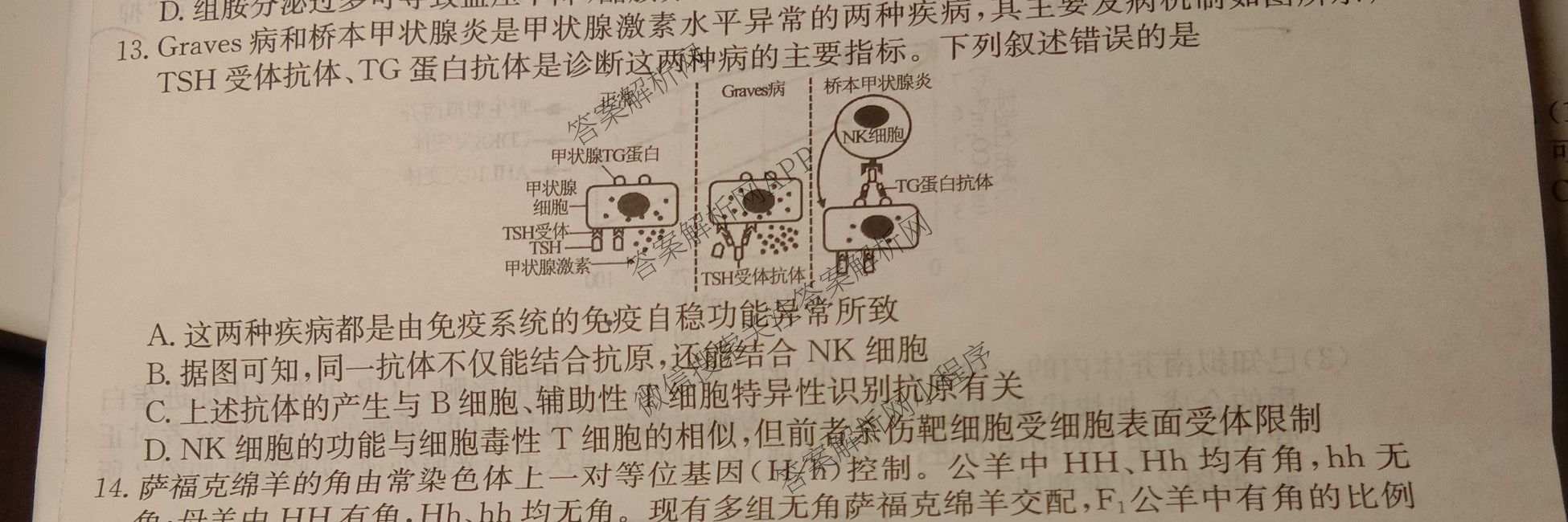 2026年全国高考冲刺押题训练(一)1各科答案及试卷(已更新英语(N) 语文(N) 生物(D N)等17份)生物试题