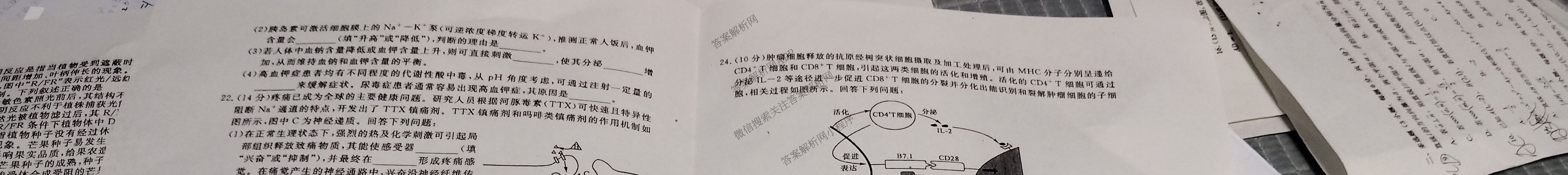 吉林省2025~2026学年度高二第一学期期中考试(6066B)各科答案及试卷(9科全)生物试题 吉林省2025~2026学年度高二第一学期期中考试(6066B)各科答案及试卷(9科全)生物试题