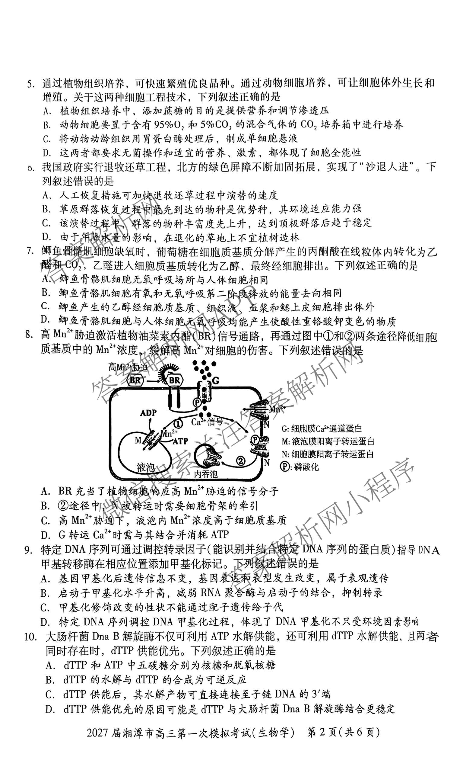 湖南省2027届湘潭市高三第一次模拟考试(8.29)各科答案及试卷（含物理、生物、语文等9份）生物试题