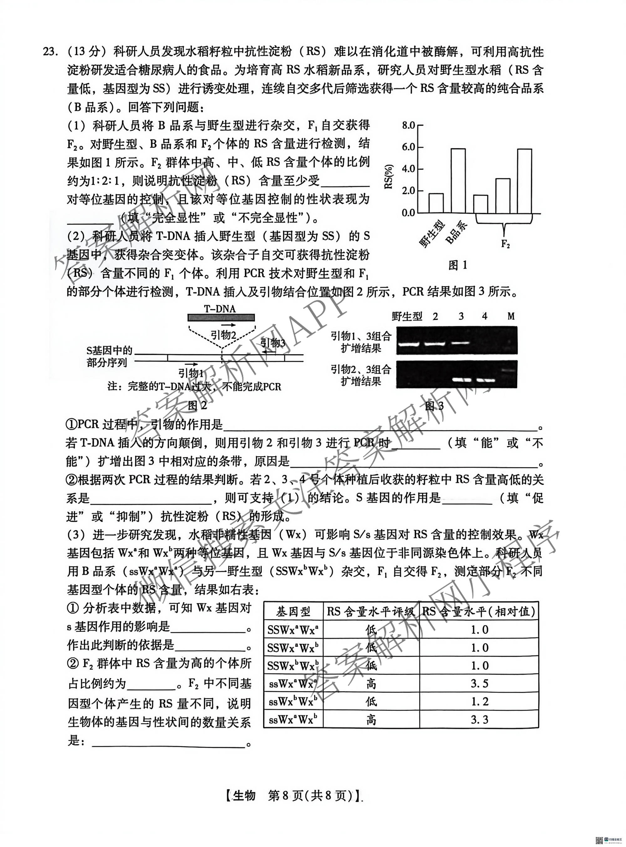 河北省沧州市2026届高三下学期3月阶段检测(无标题)（含政治、数学、语文等9份）生物试题