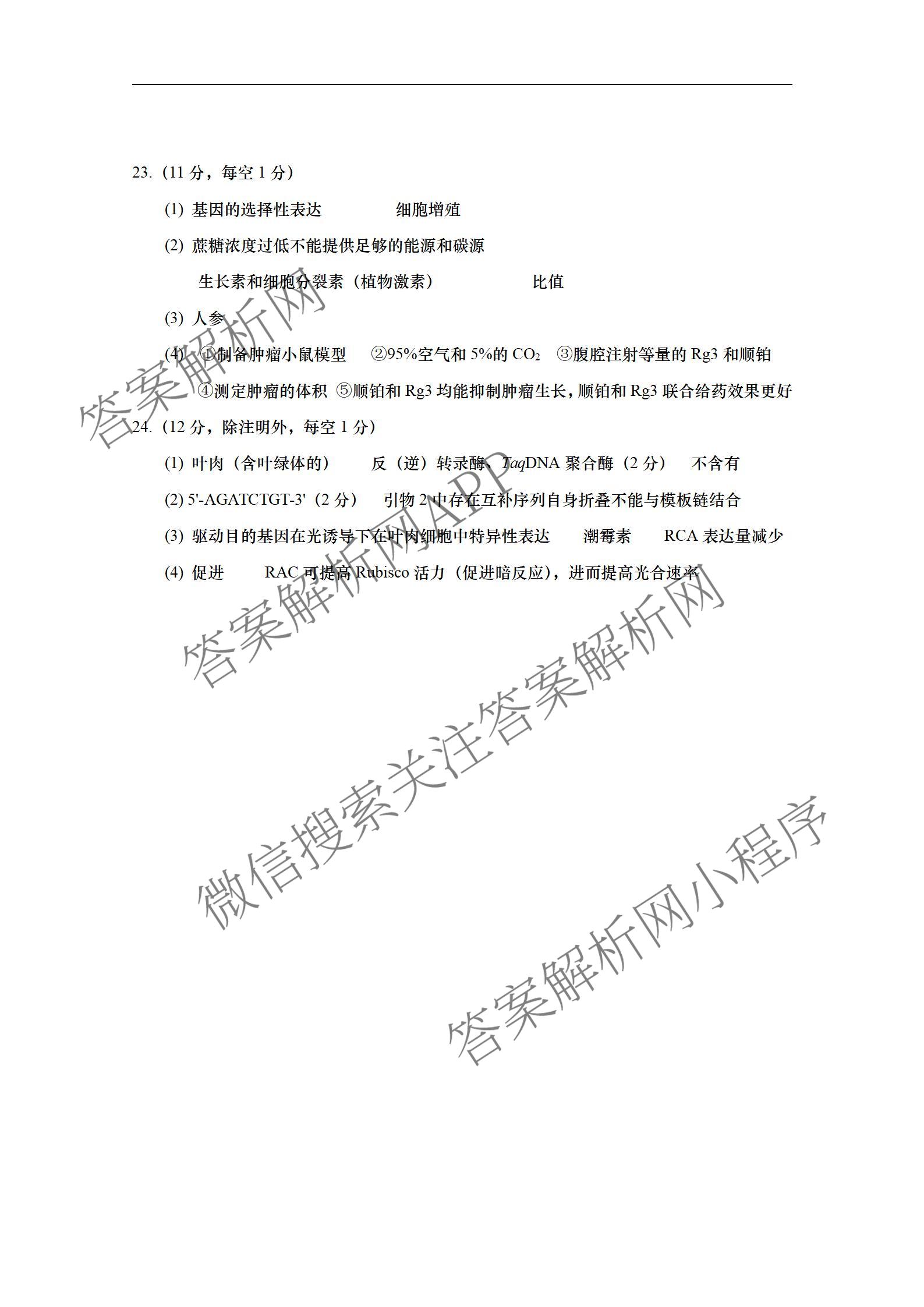 江苏省如皋市2025-2026学年度高三年级第一学期教学质量调研(一)试卷及答案汇总(9科全)生物答案 江苏省如皋市2025-2026学年度高三年级第一学期教学质量调研(一)试卷及答案汇总(9科全)生物答案