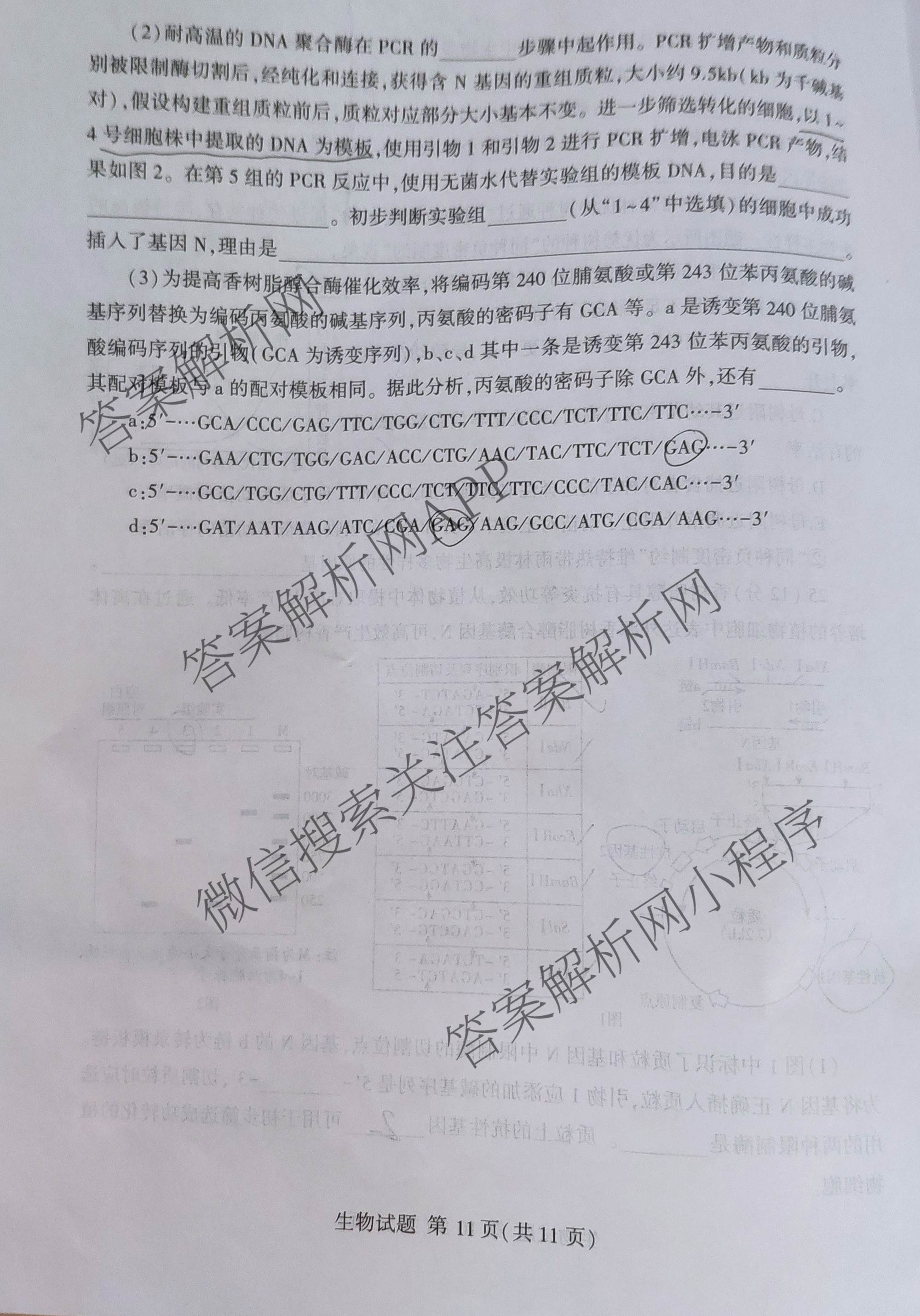 山东省临沂市2026年普通高等学校招生全国统一考试(模拟)2026.3试卷及答案汇总（9科全）生物试题